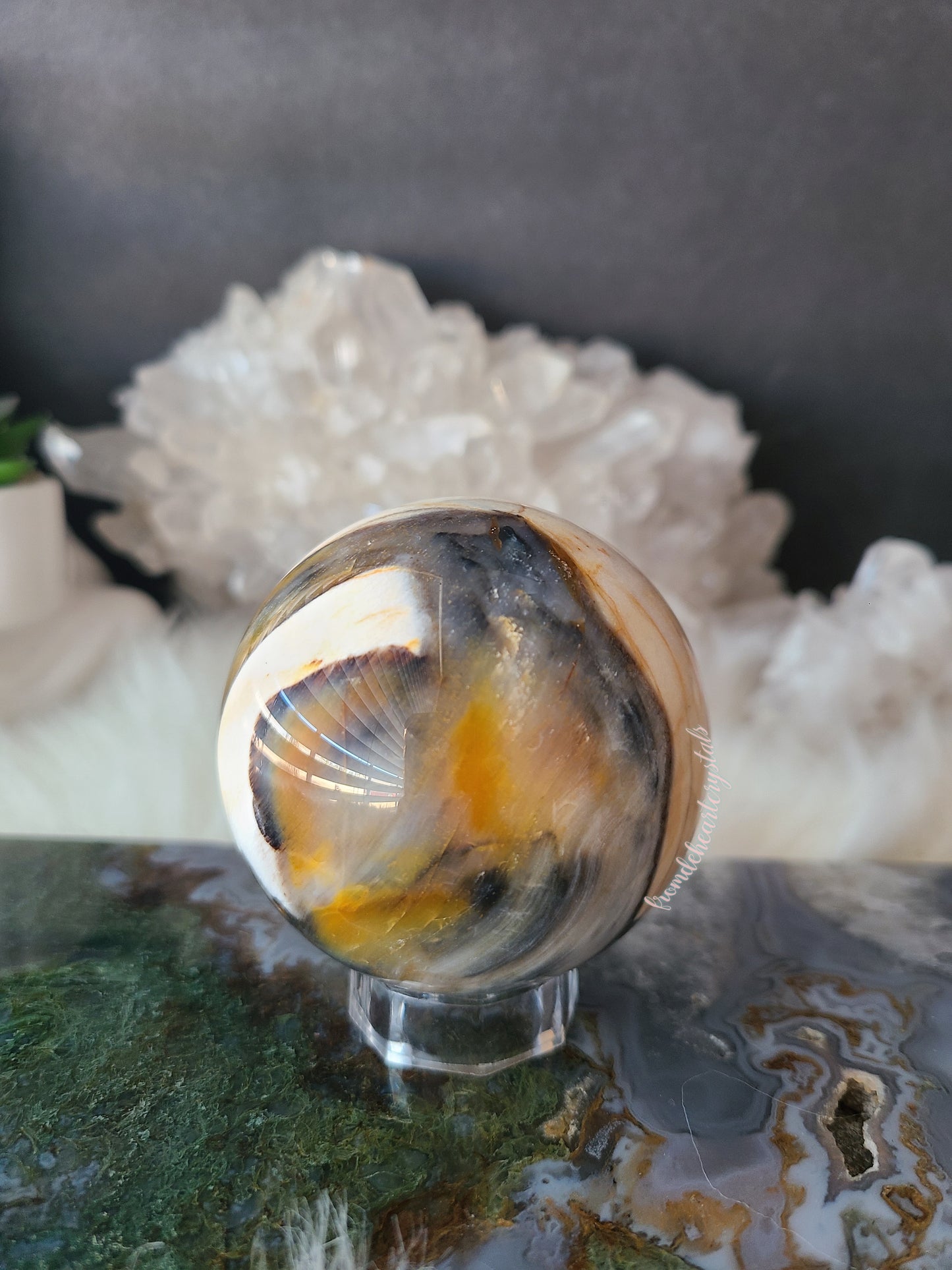 Petrified Wood Sphere