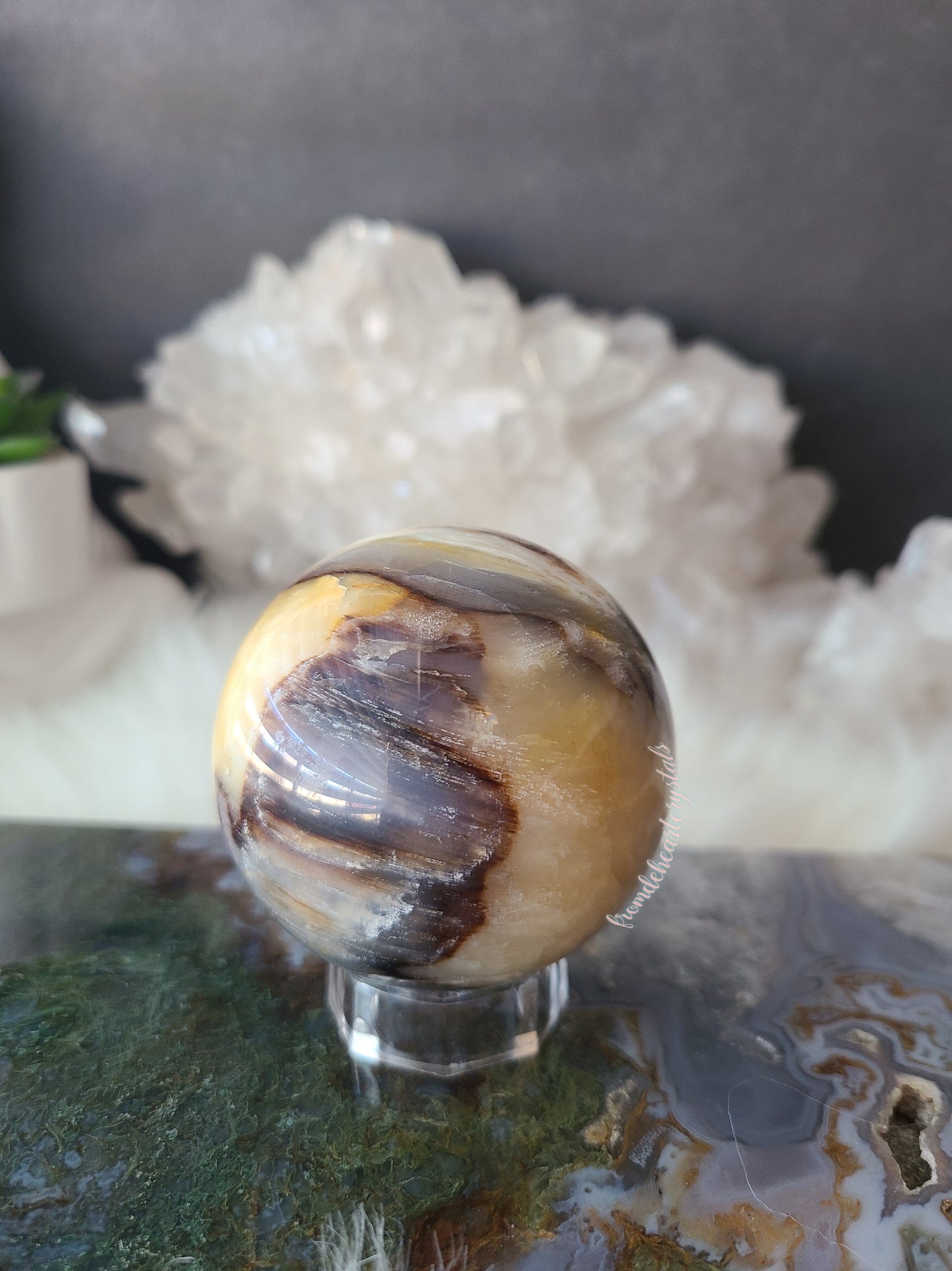 Petrified Wood Sphere (B)