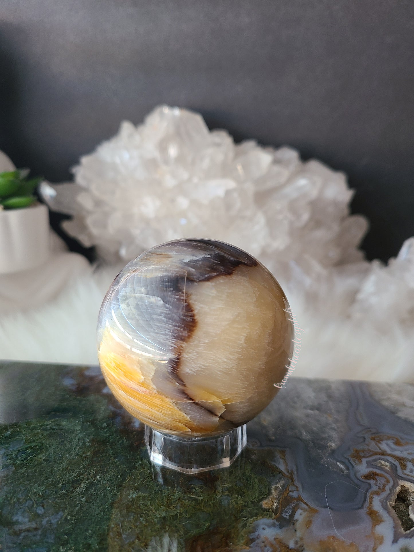 Petrified Wood Sphere (B)