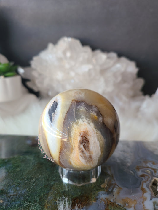 Petrified Wood Sphere (B)