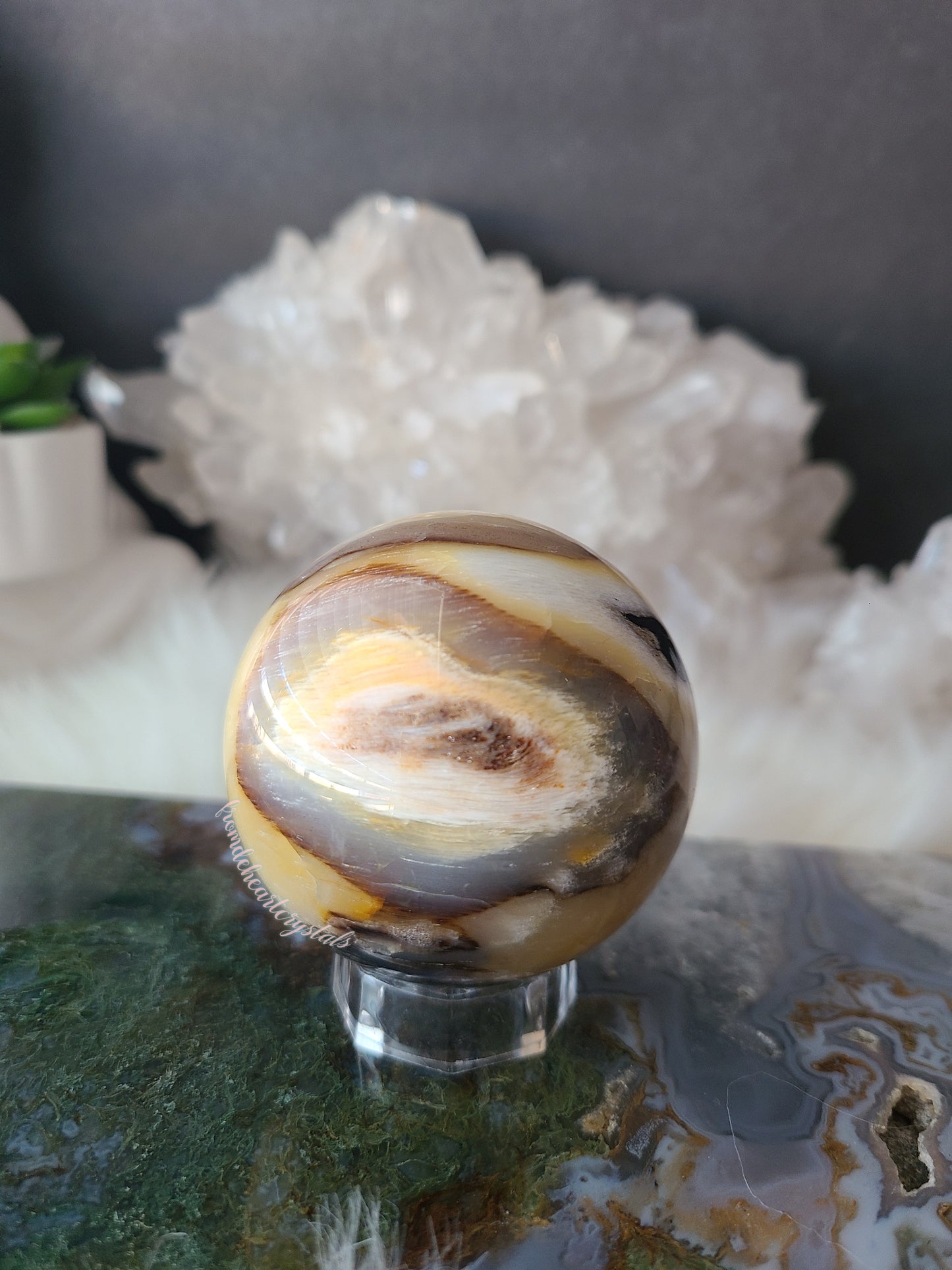Petrified Wood Sphere (B)
