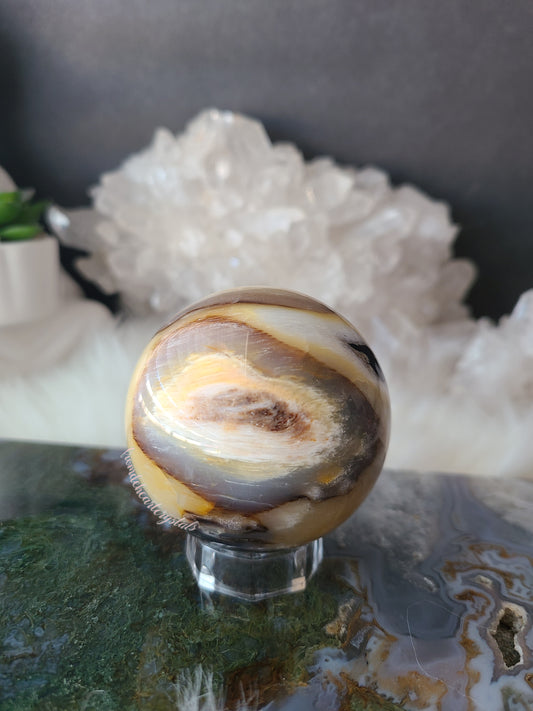 Petrified Wood Sphere (B)