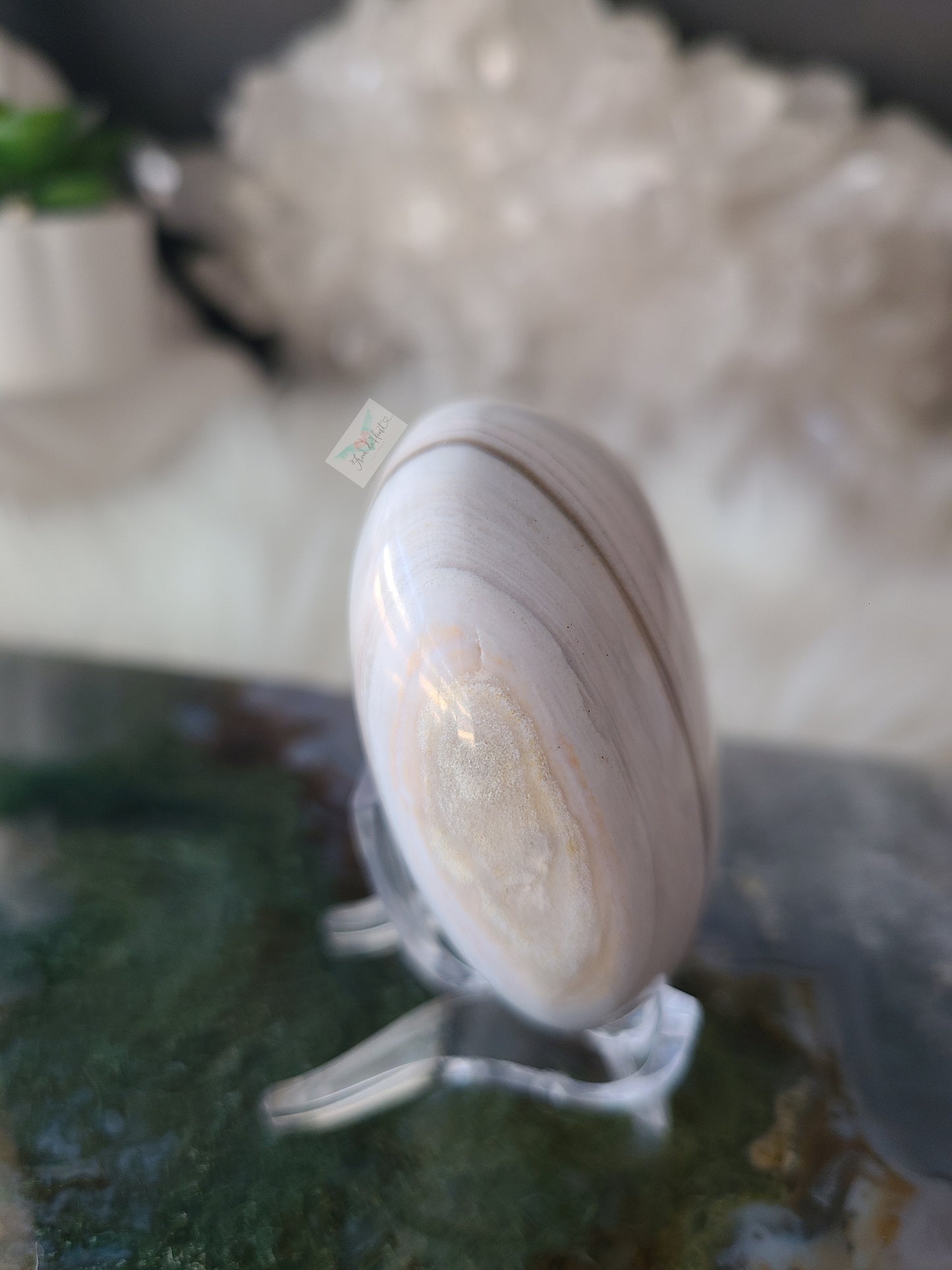 White Ocean Jasper Palmstone (B)