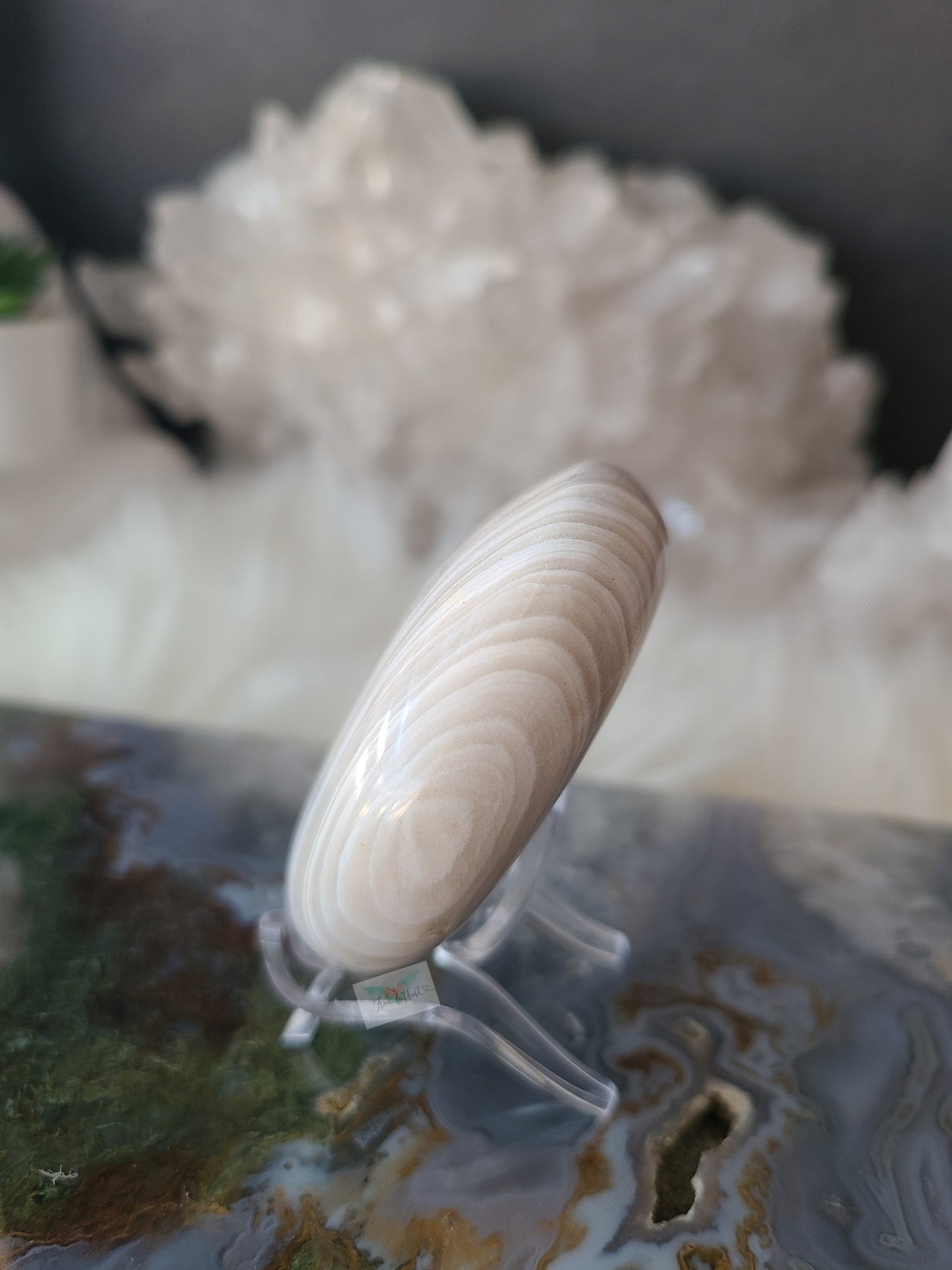 White Ocean Jasper Palmstone (D)