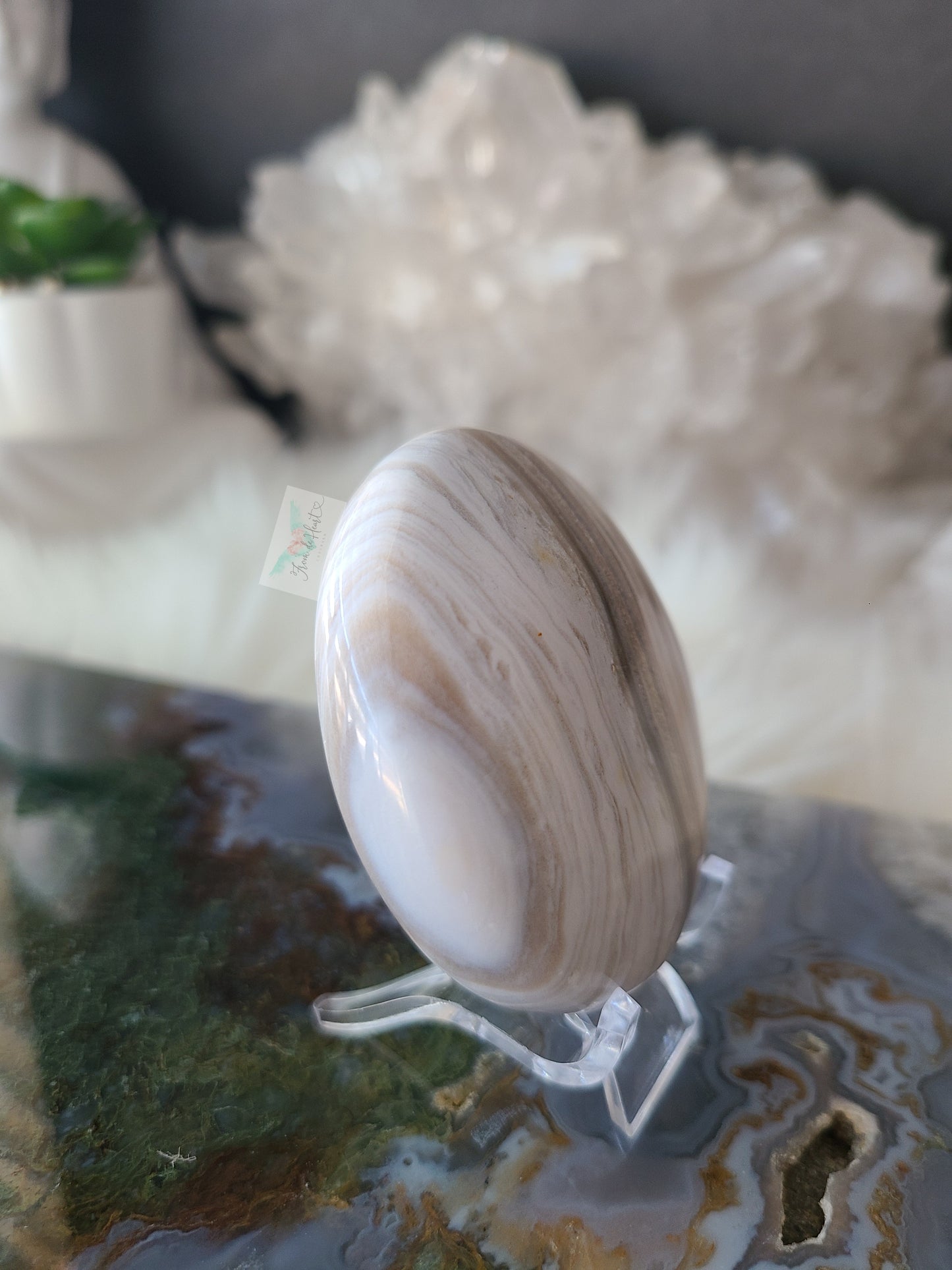 White Ocean Jasper Palmstone (D)