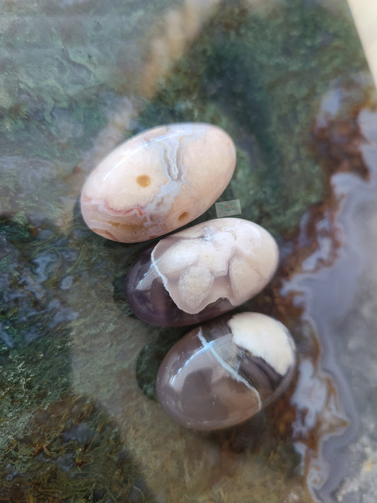 Black Flower Agate tumble (3pcs)