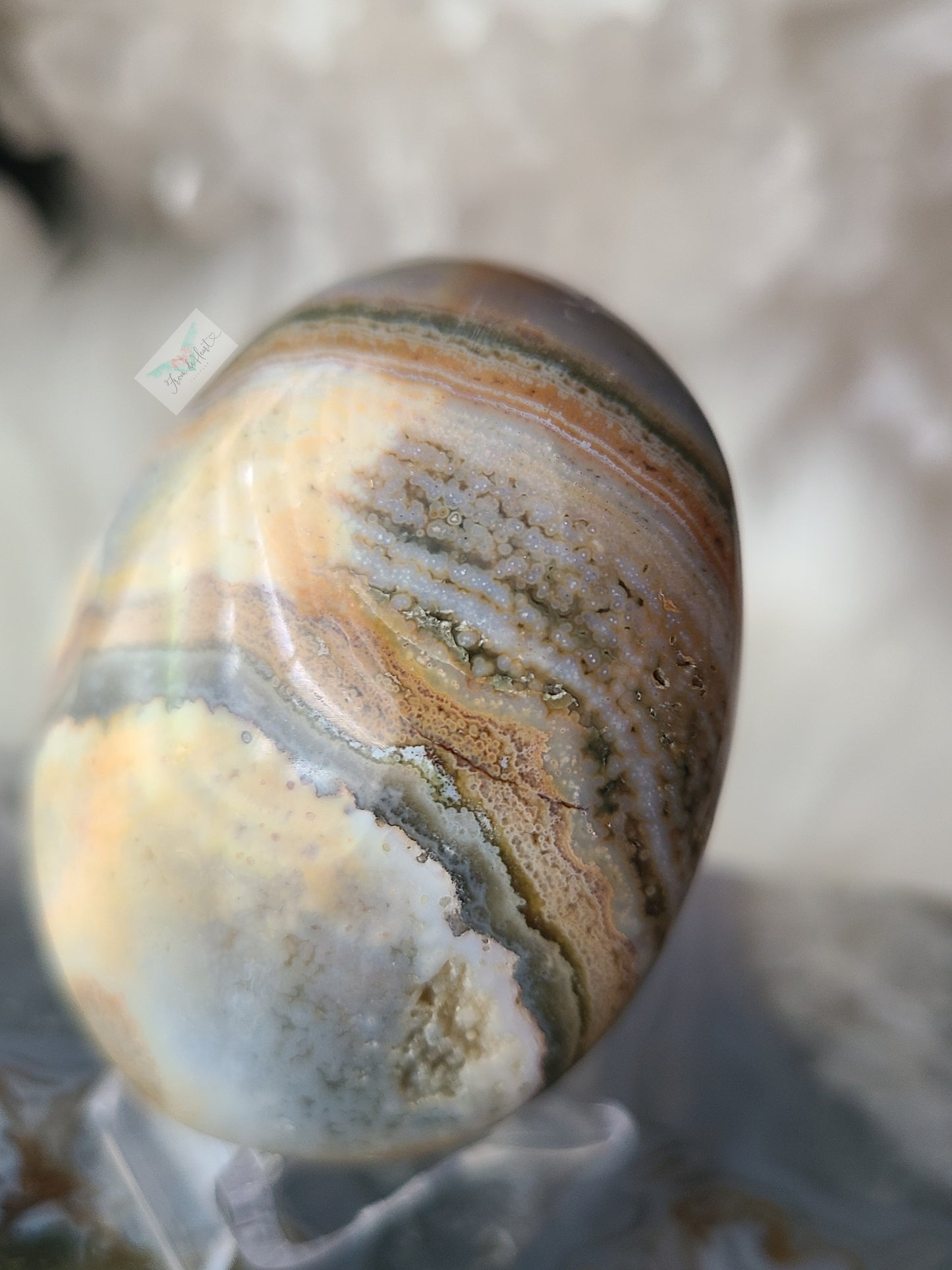 Ocean Jasper Palmstone