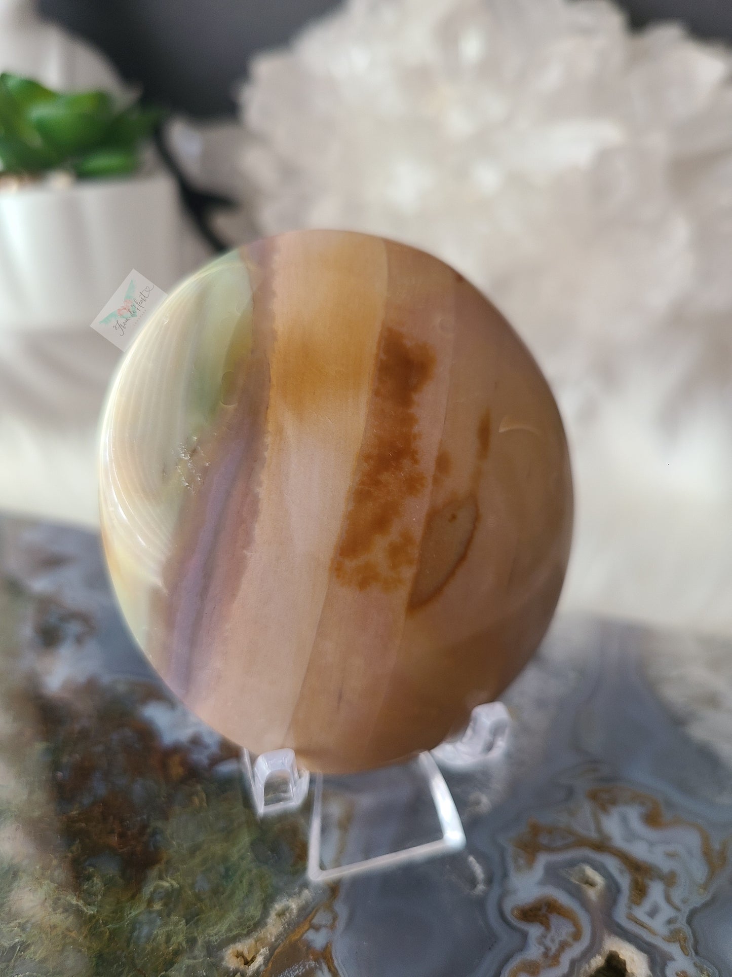 Ocean Jasper Palmstone