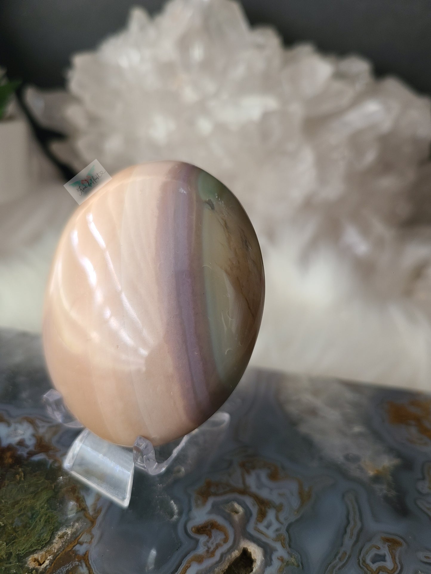 Ocean Jasper Palmstone