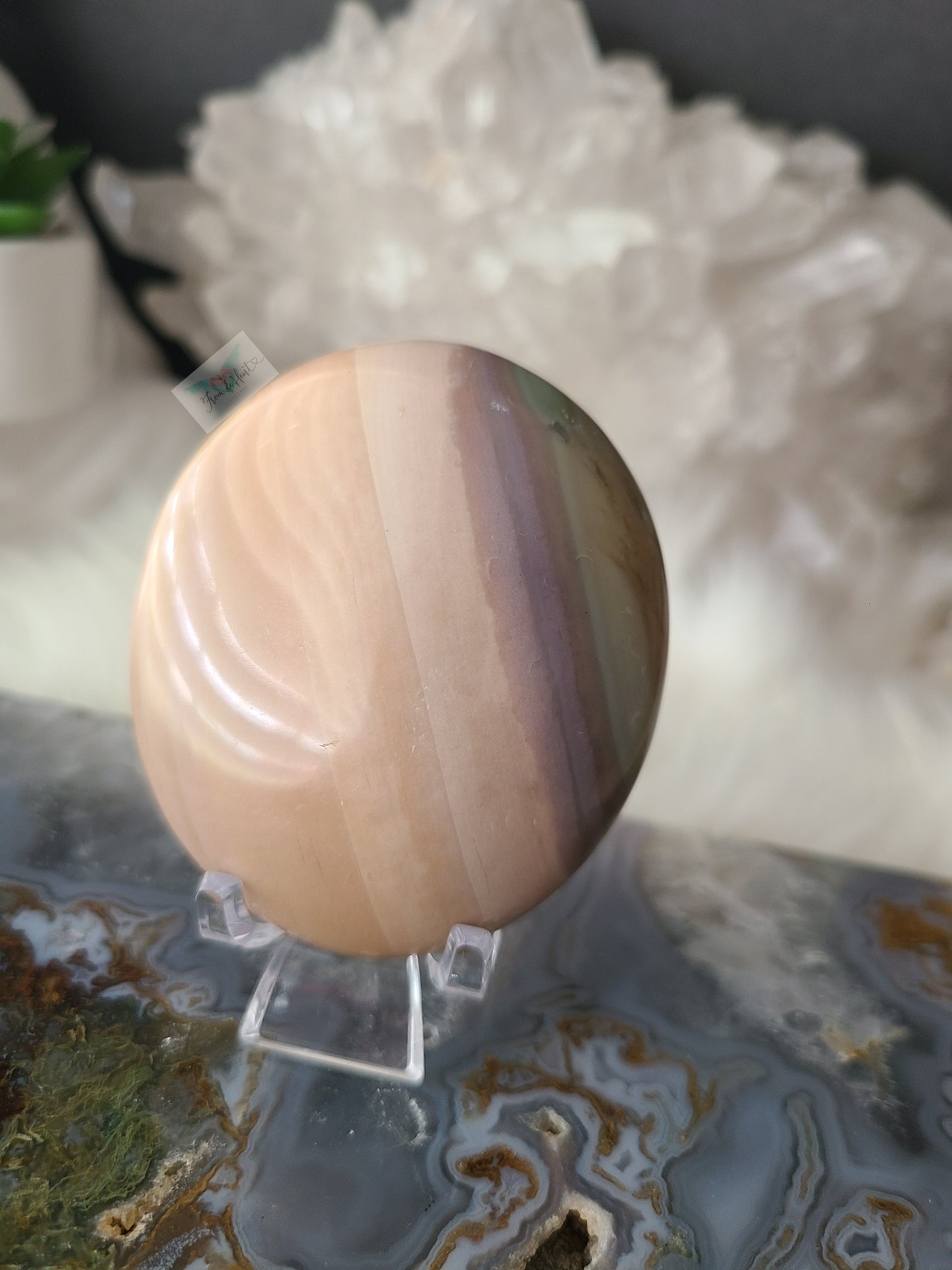 Ocean Jasper Palmstone