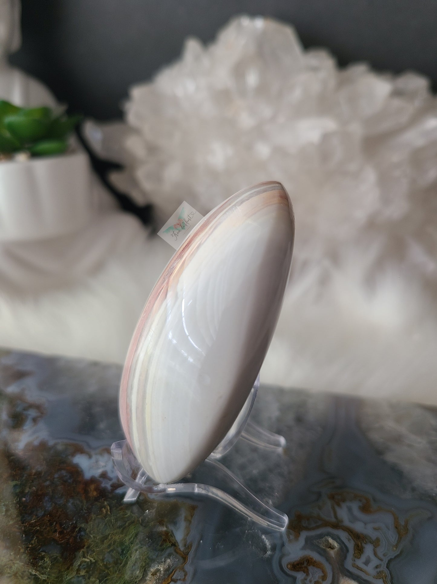 Ocean Jasper Palmstone