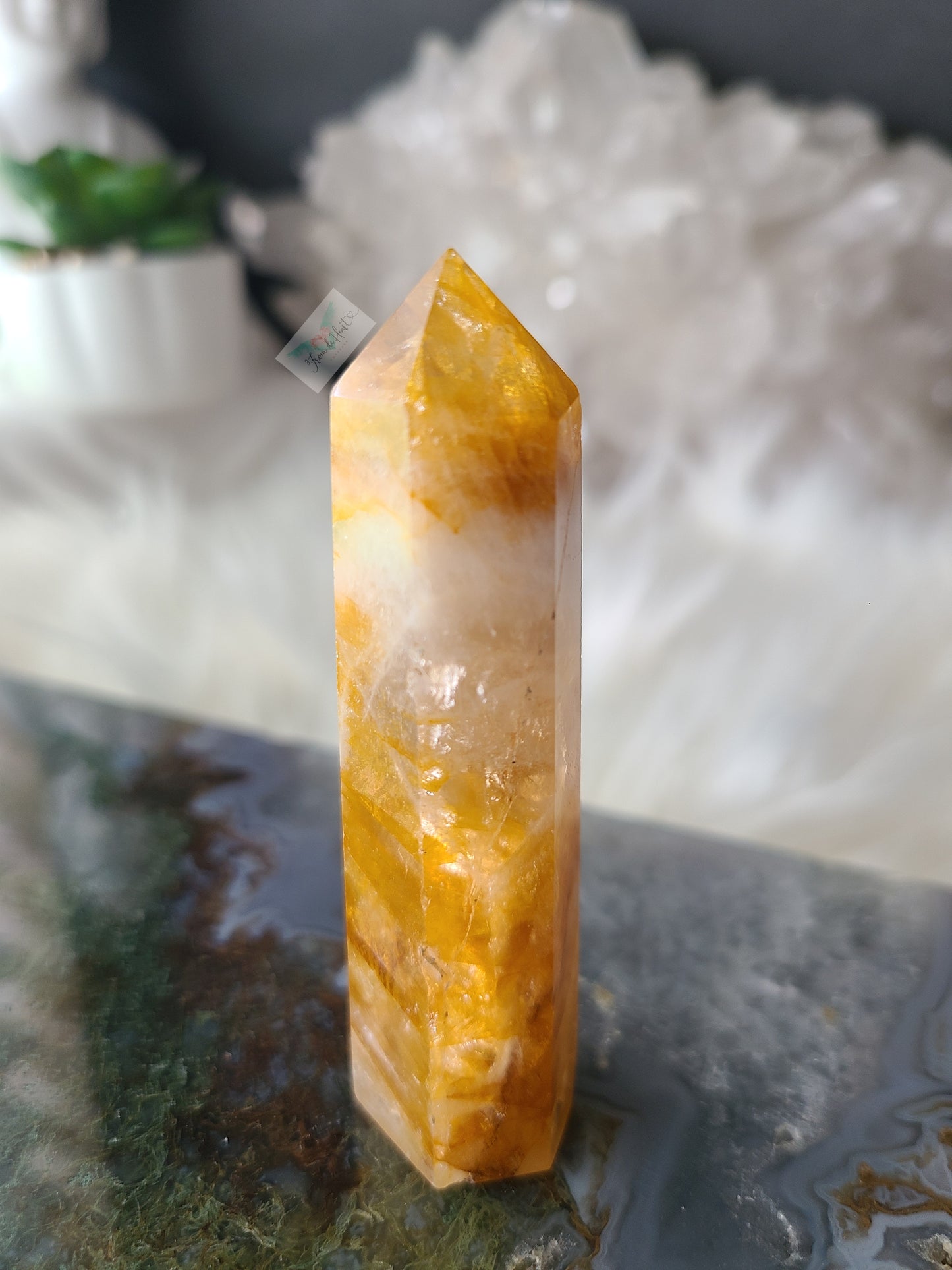 Golden Healer Point (C)