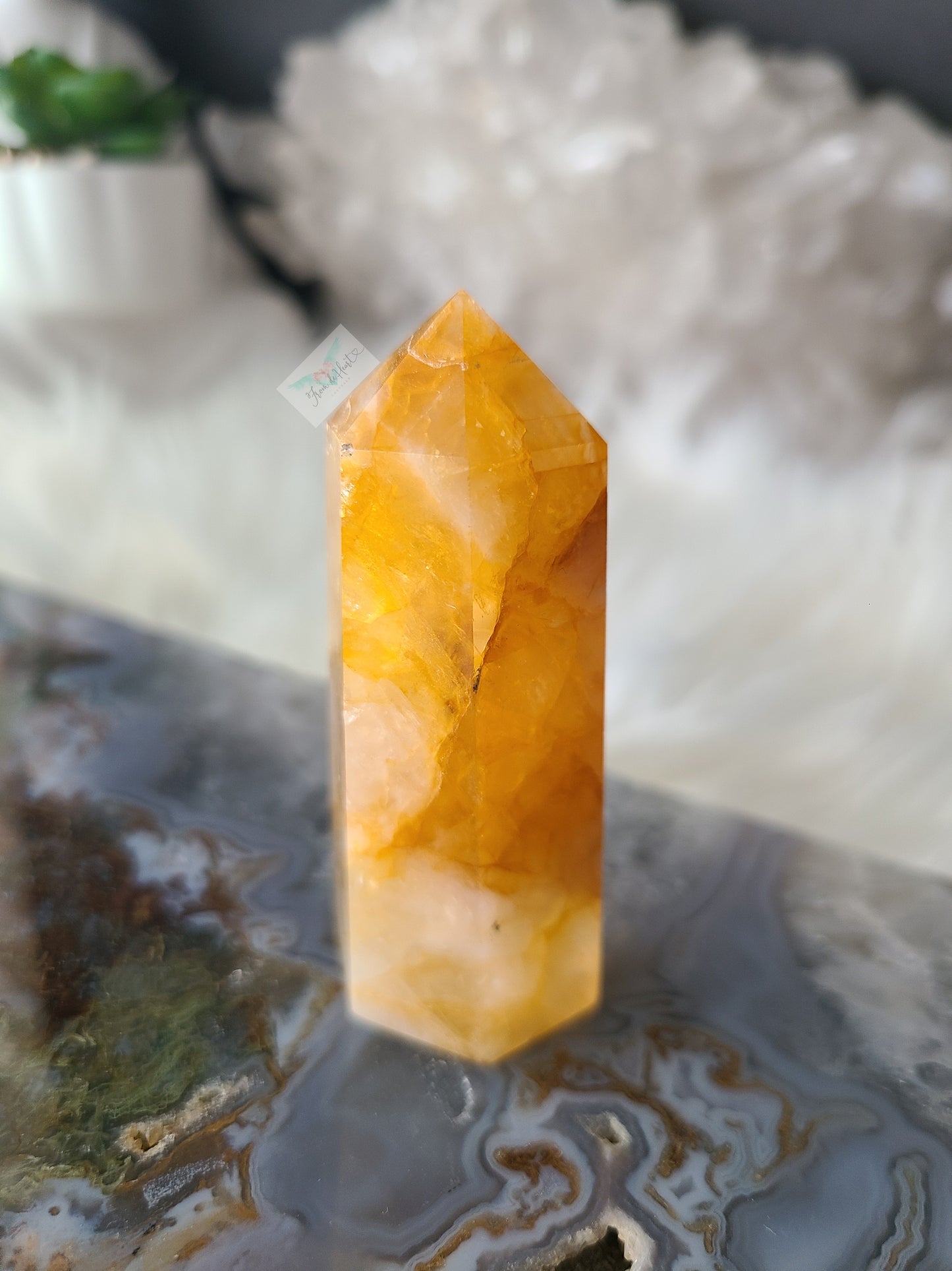 Golden Healer Point (D)