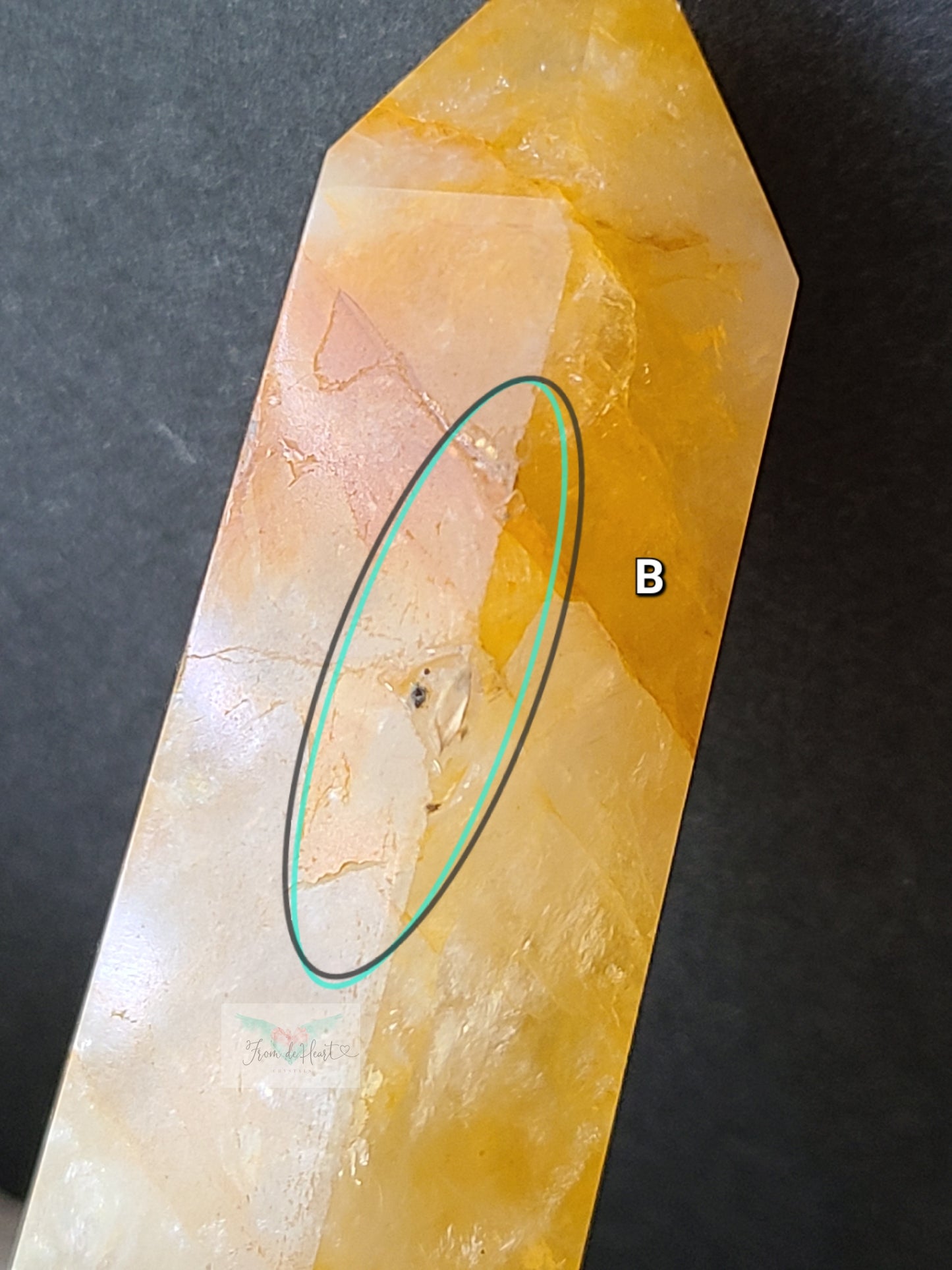 Golden Healer Point (B)