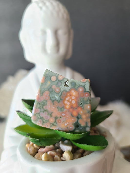 Ocean Jasper Pocket Stone
