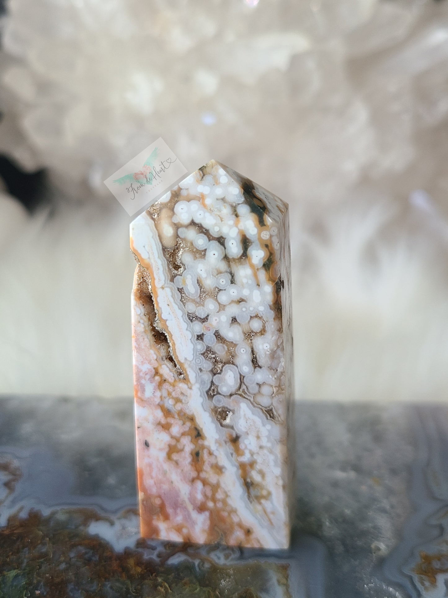 Orbicular Ocean Jasper (B)