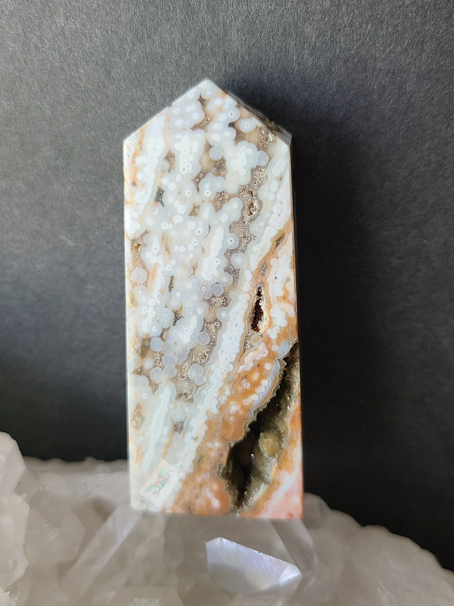 Orbicular Ocean Jasper (B)
