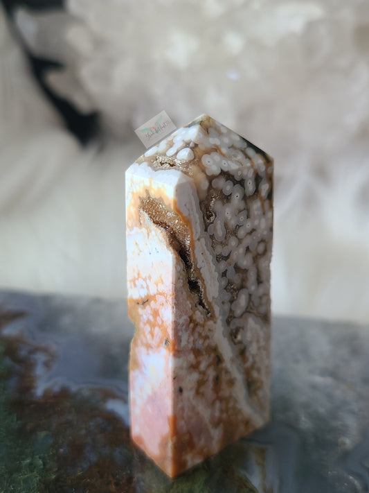 Orbicular Ocean Jasper (B)