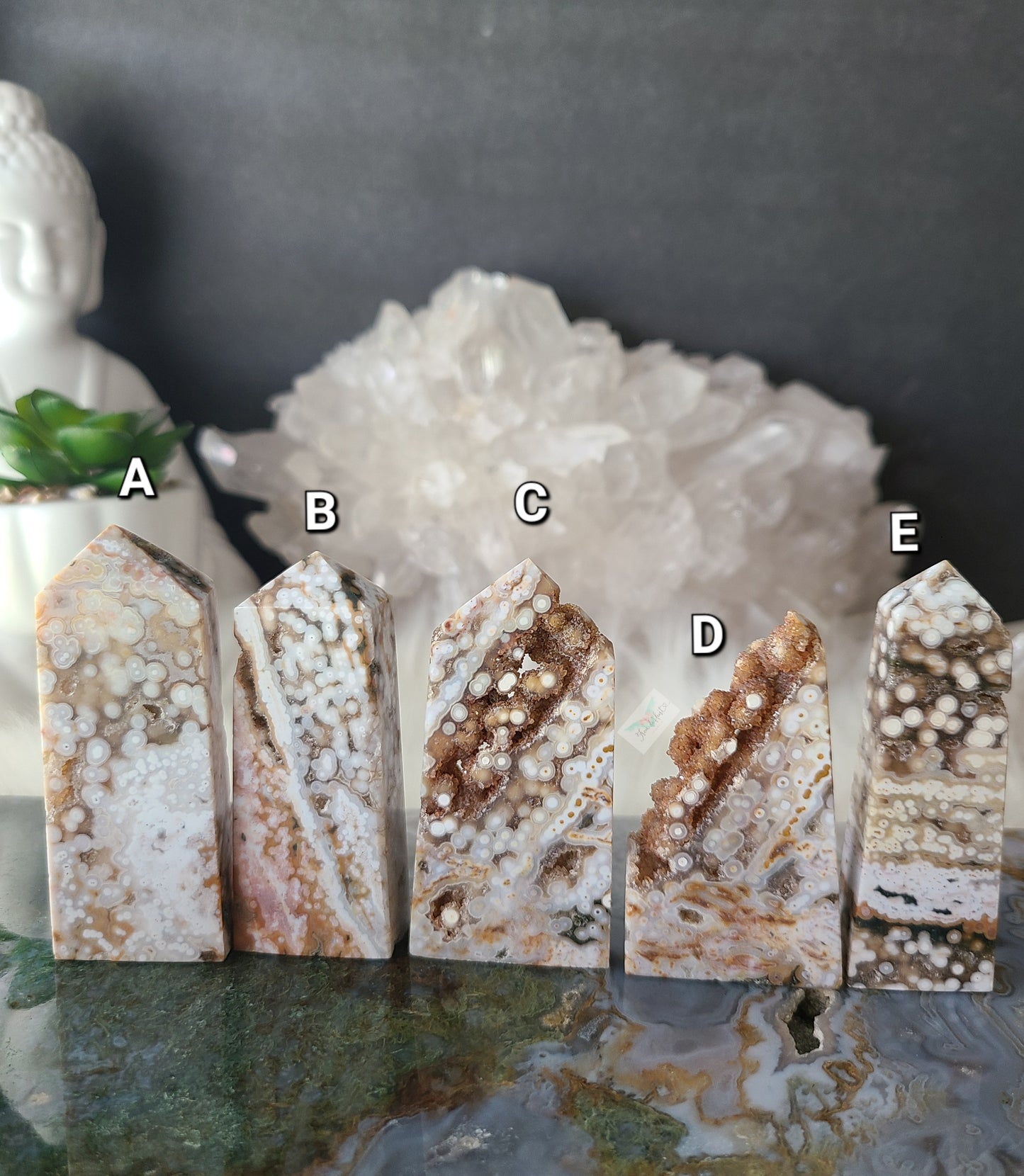 Orbicular Ocean Jasper (D)