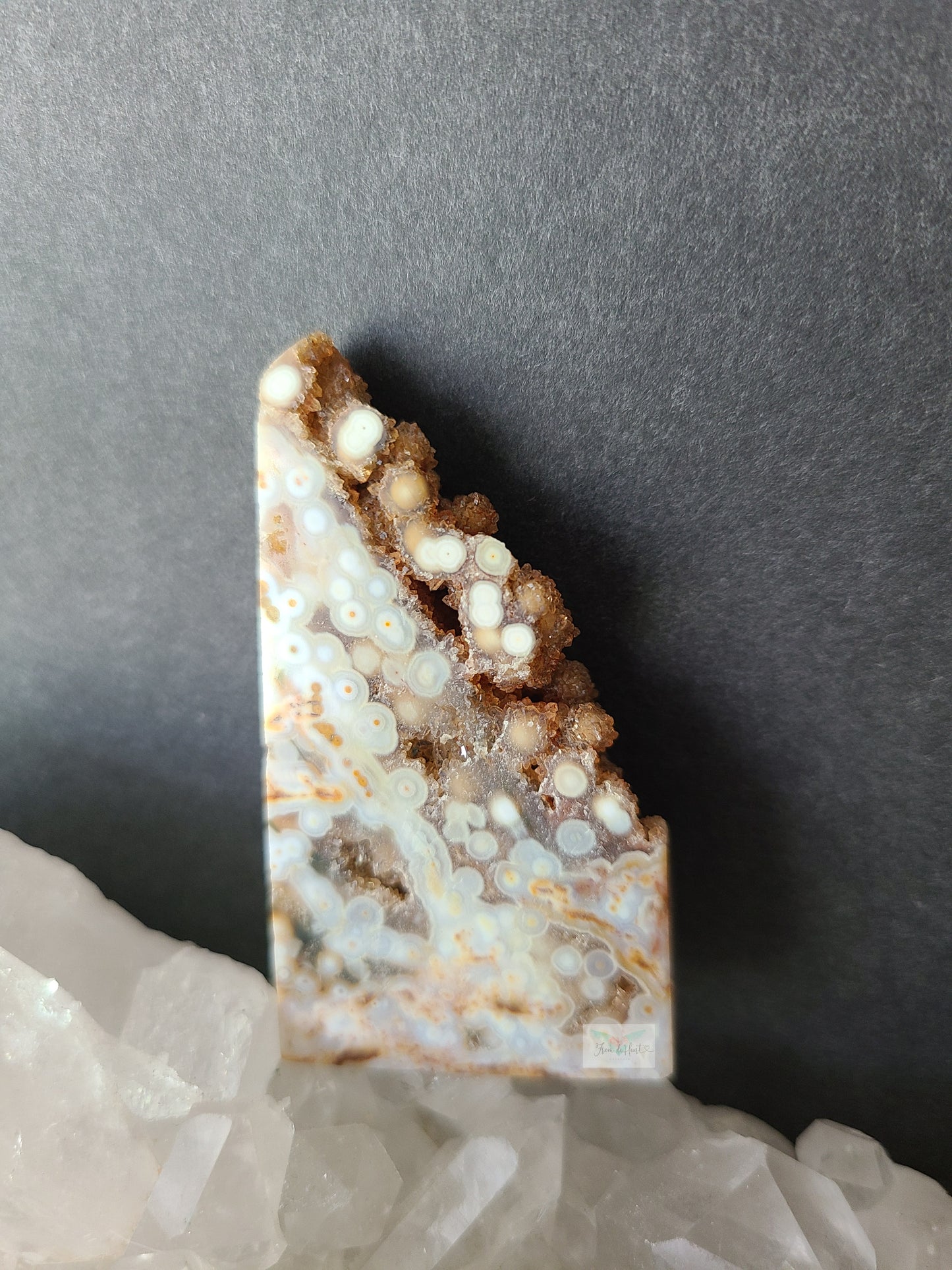 Orbicular Ocean Jasper (D)