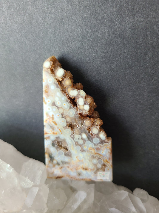 Orbicular Ocean Jasper (D)