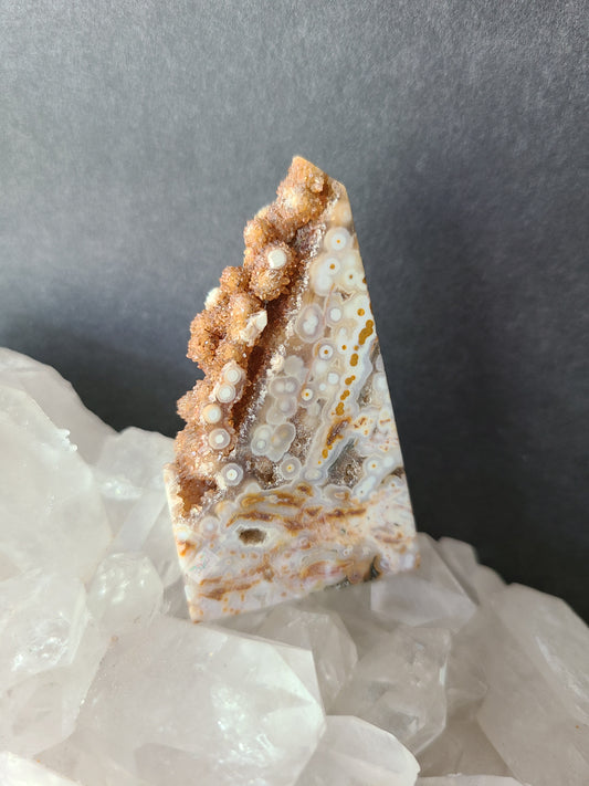 Orbicular Ocean Jasper (D)