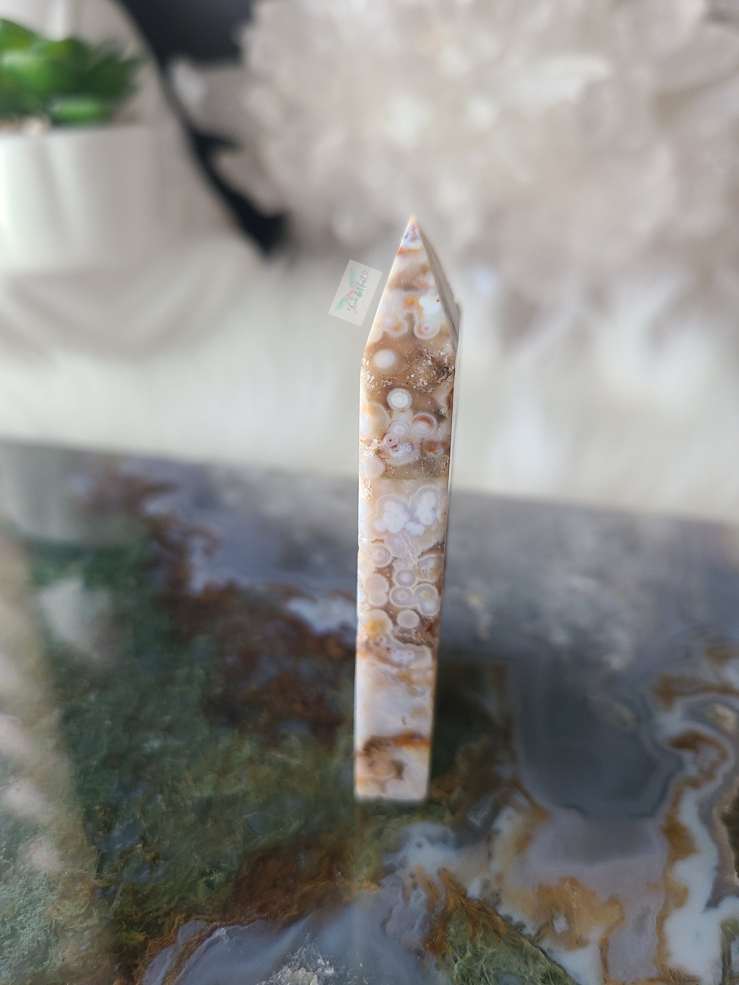 Orbicular Ocean Jasper (C)