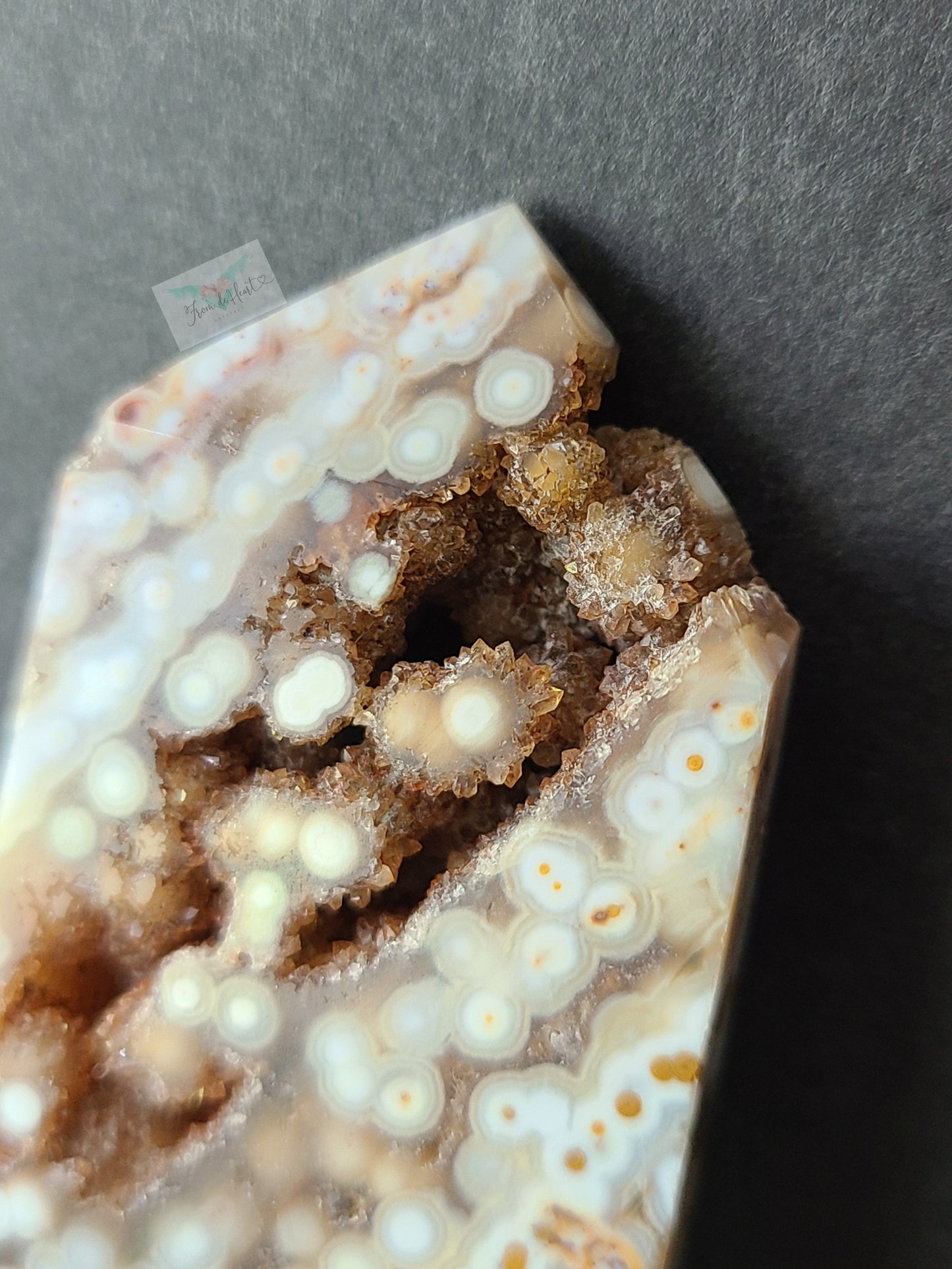 Orbicular Ocean Jasper (C)