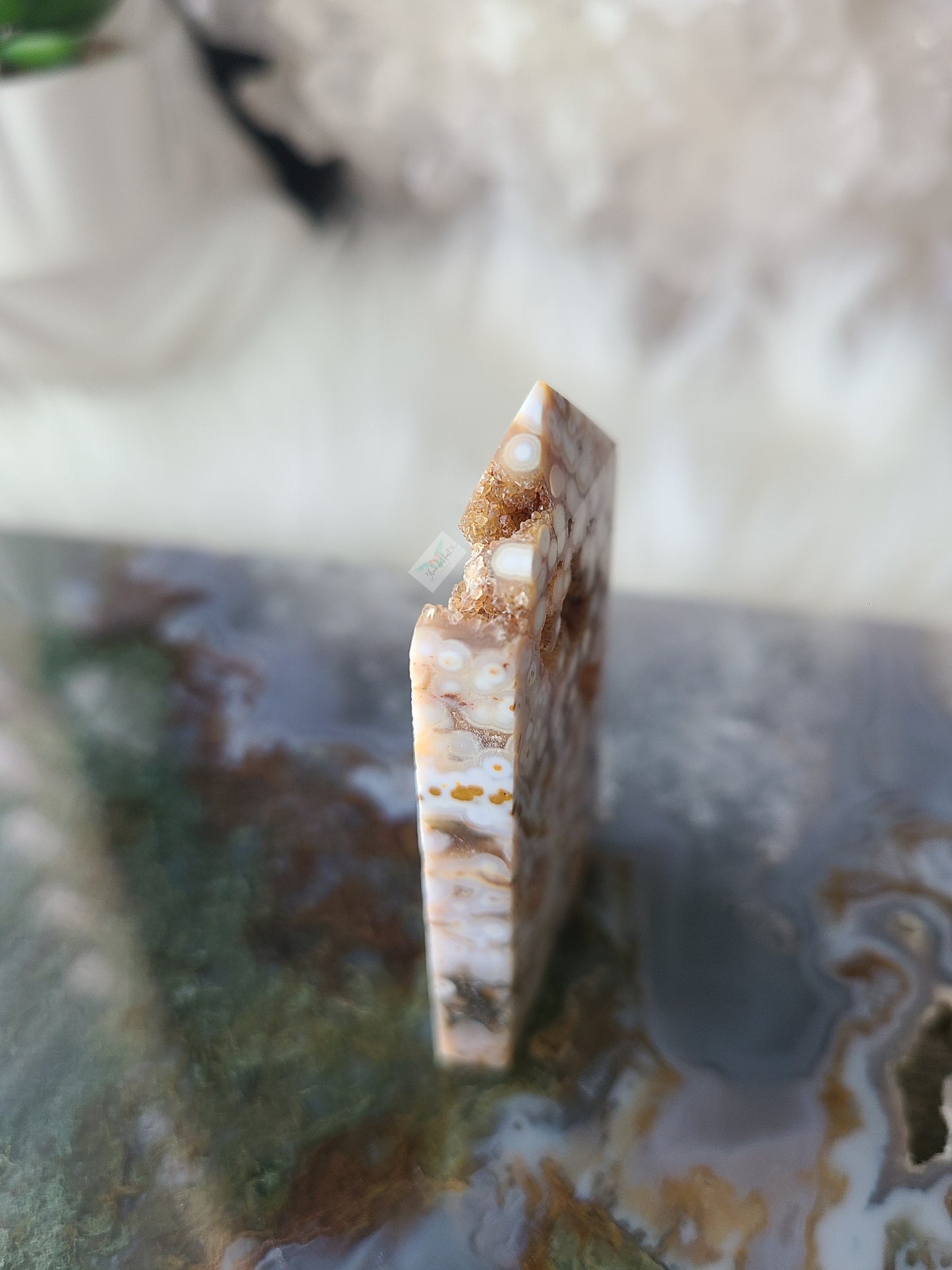Orbicular Ocean Jasper (C)