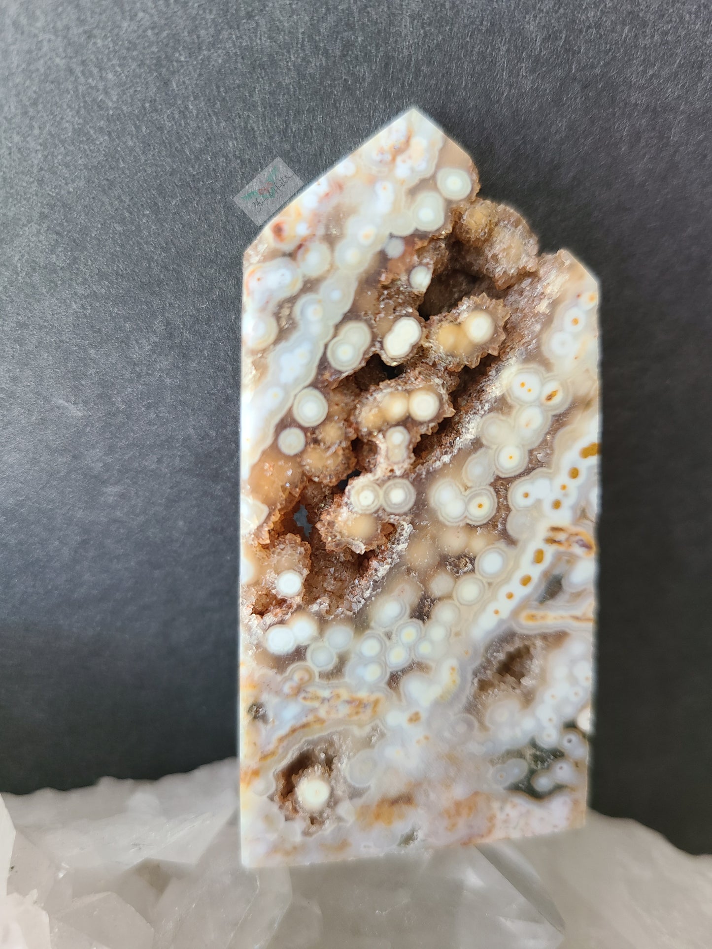 Orbicular Ocean Jasper (C)