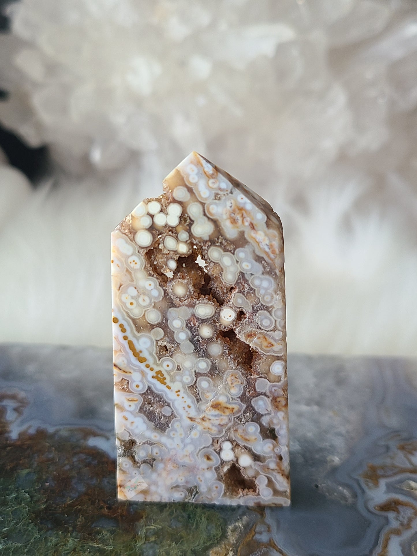 Orbicular Ocean Jasper (C)