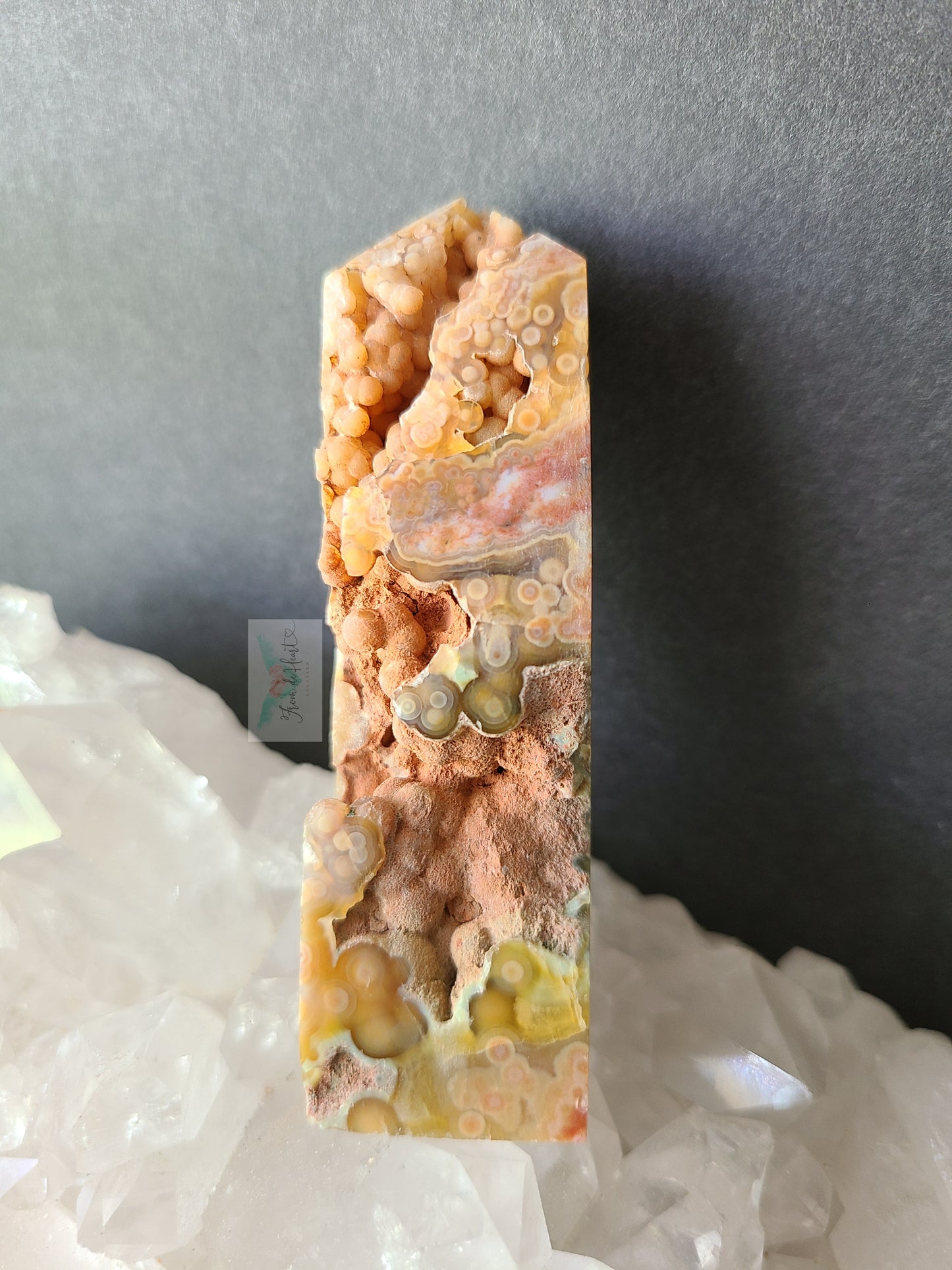 Jelly Ocean Jasper (A)