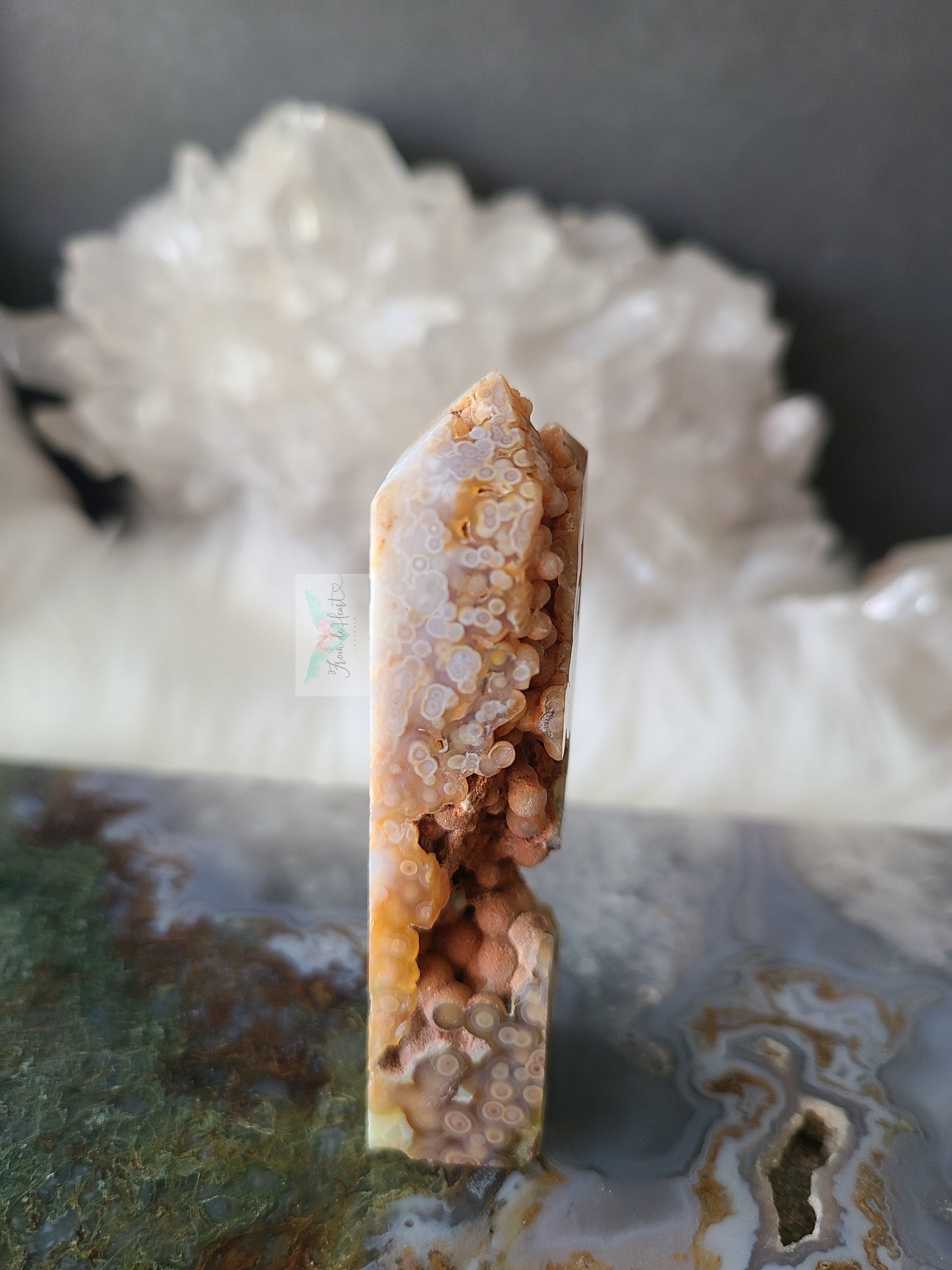 Jelly Ocean Jasper (A)