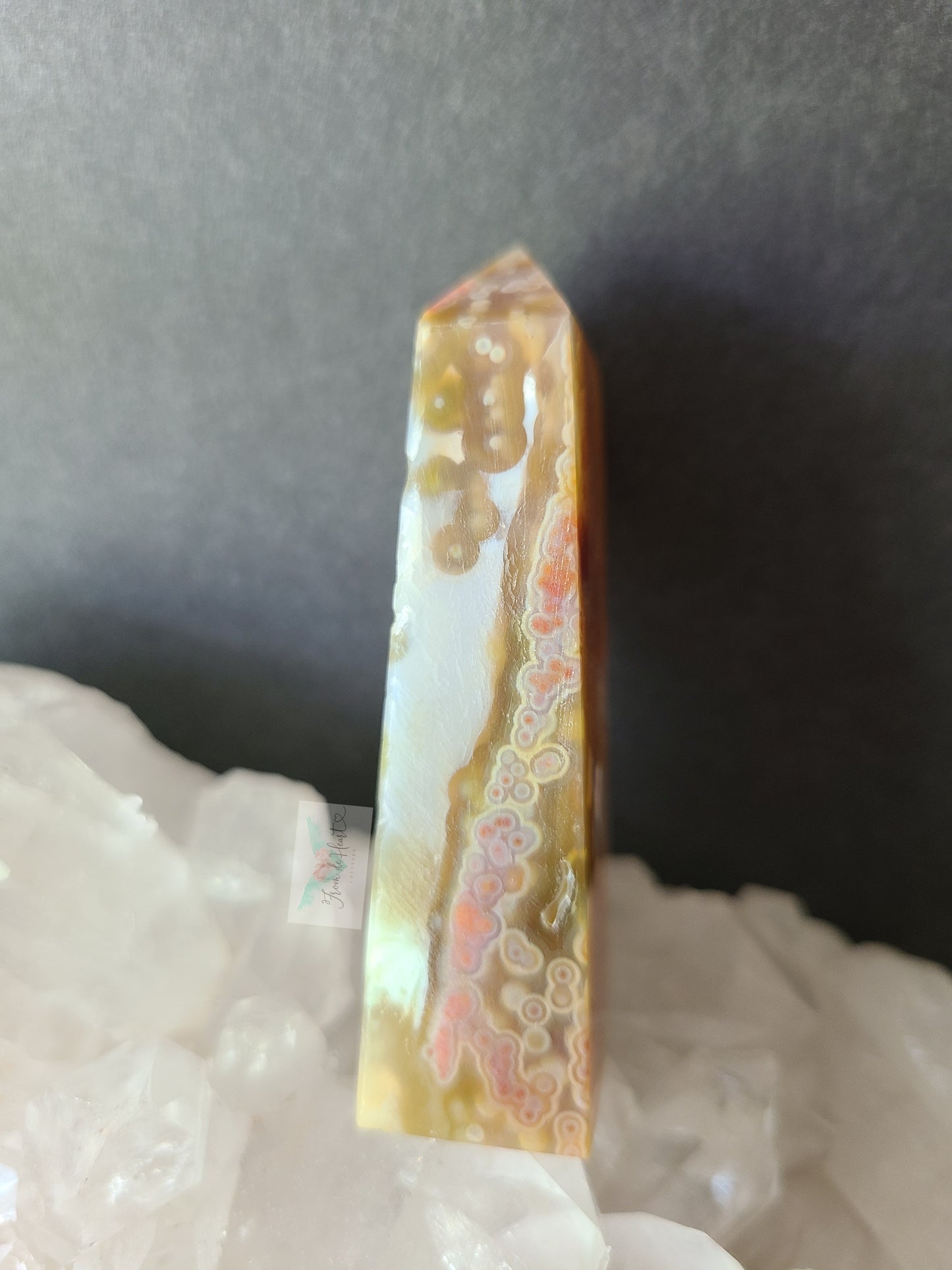 Jelly Ocean Jasper (C)