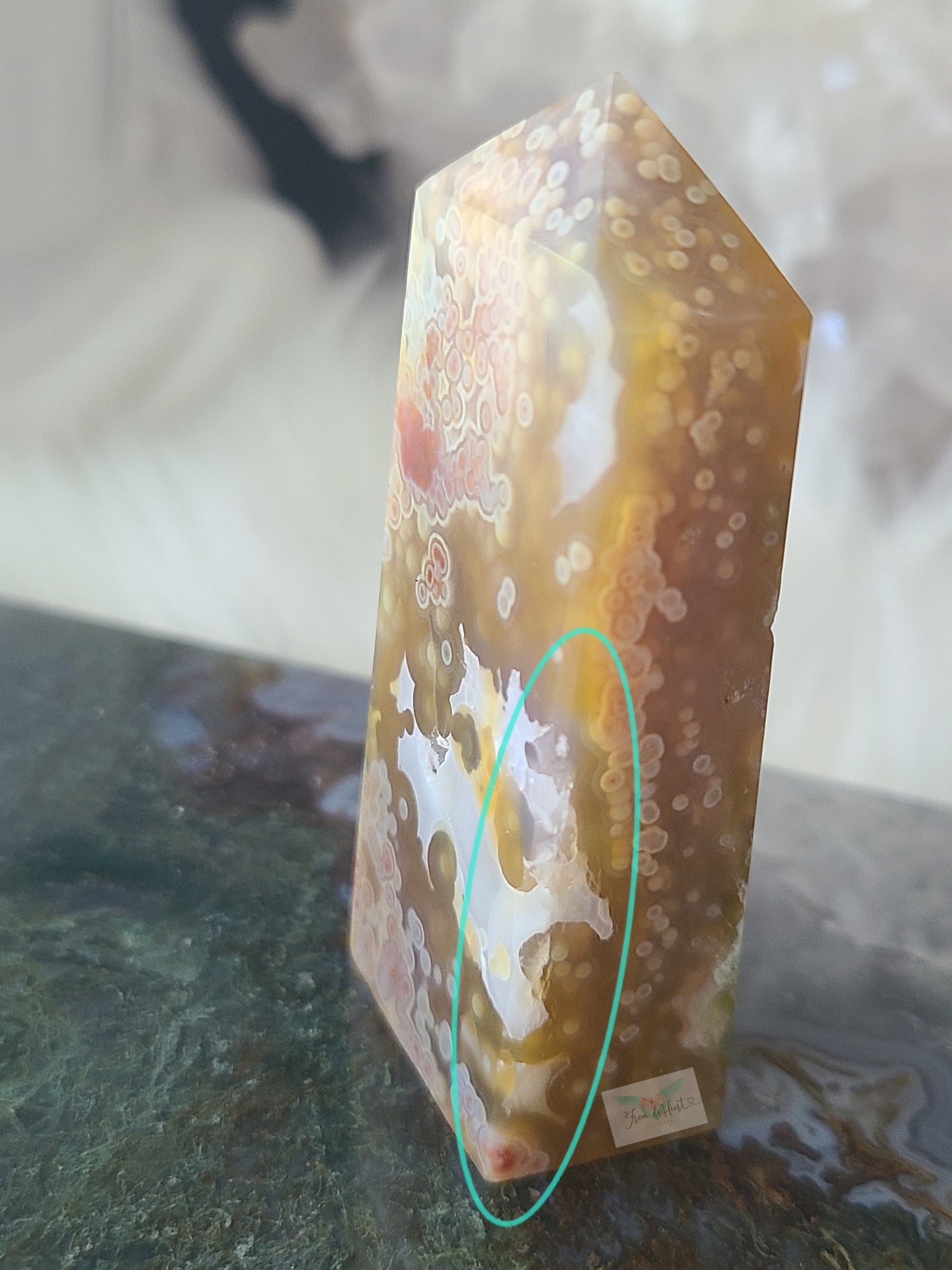 Jelly Ocean Jasper (C)