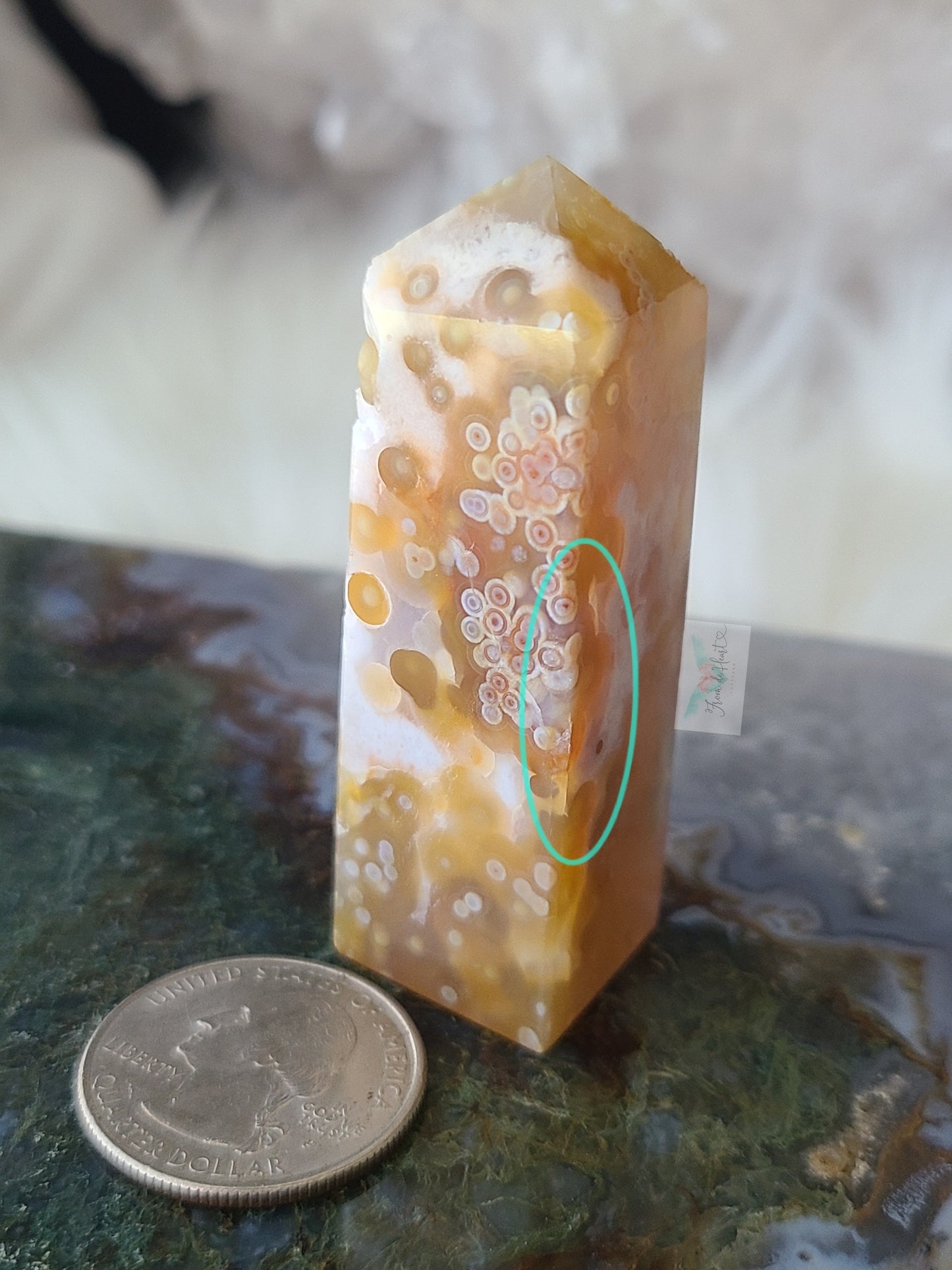 Jelly Ocean Jasper (B)