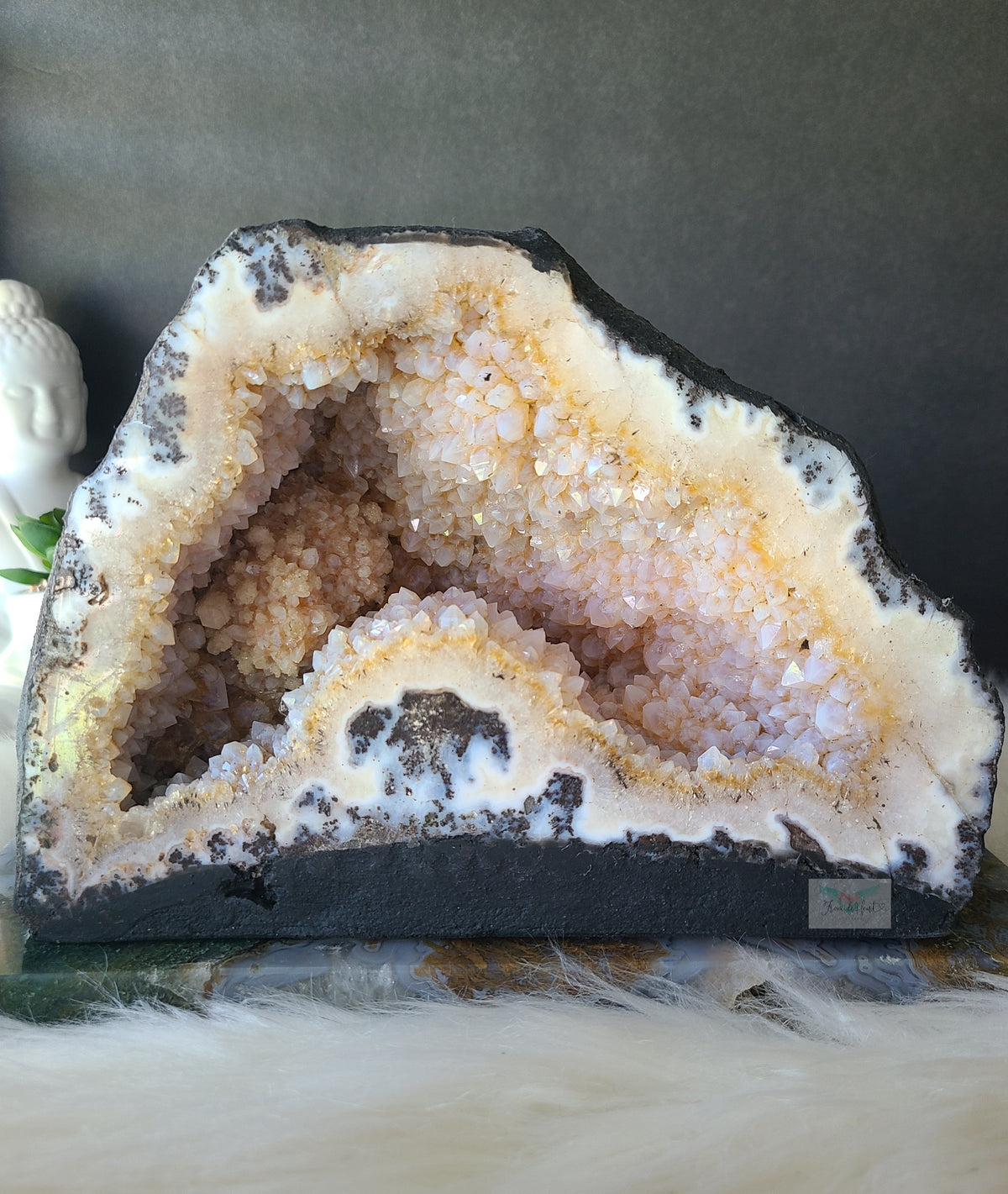 Amethyst Citrine Geode Cut base