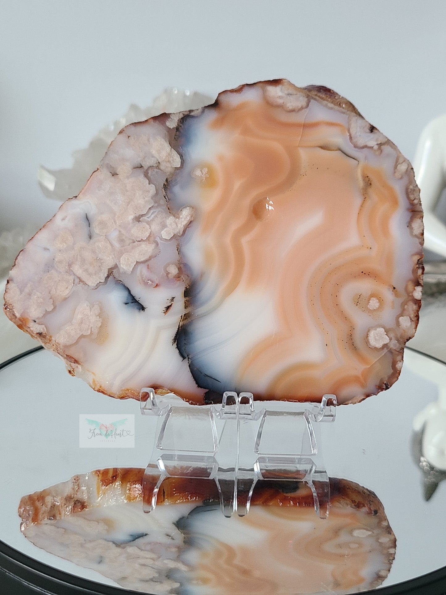 Flower Agate Carnelian Slab with Dendrite (AAA)