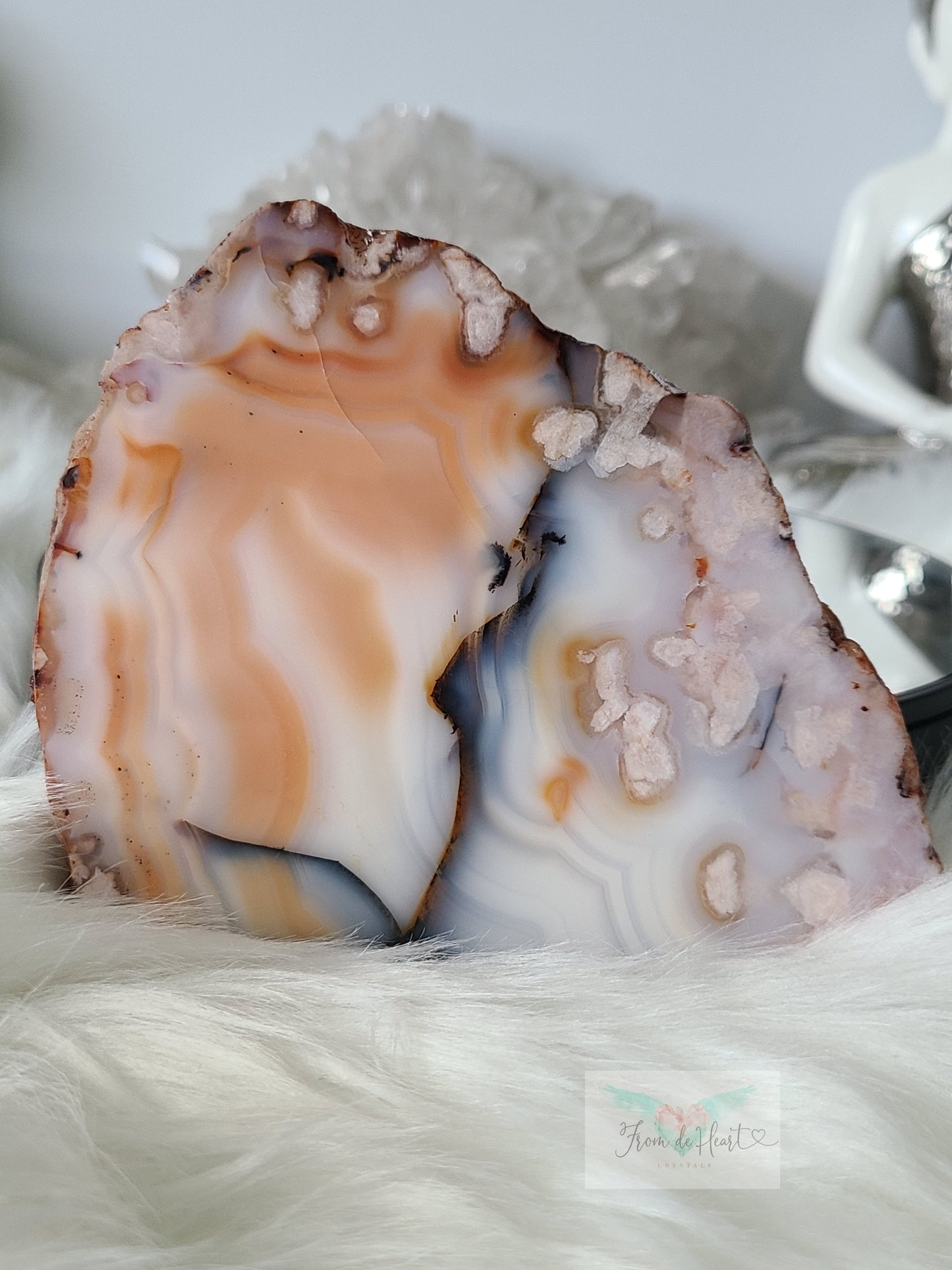 Flower Agate Carnelian Slab with Dendrite (AAA)