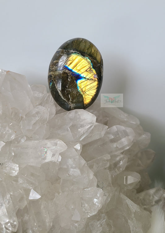 Yellow Labradorite Palmstone (SALE)