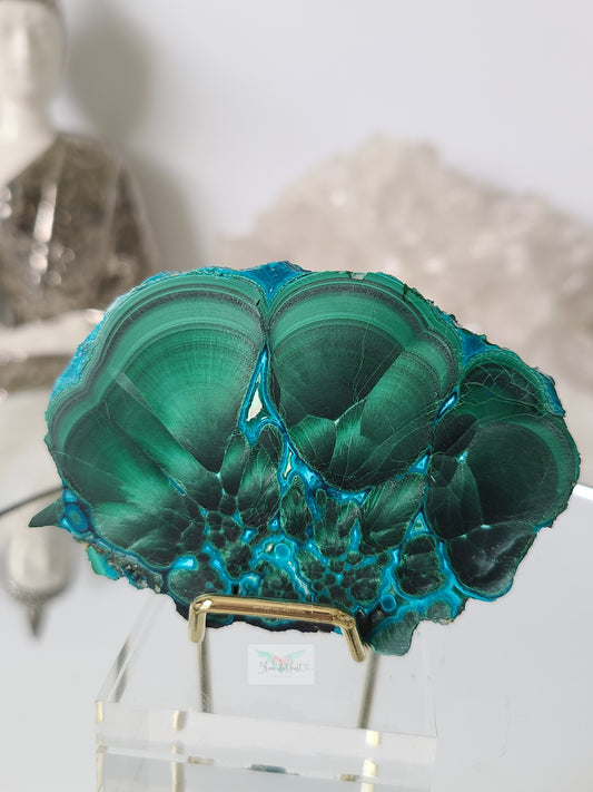 High Quality Chatoyant Malachite with Chrysocolla Slab