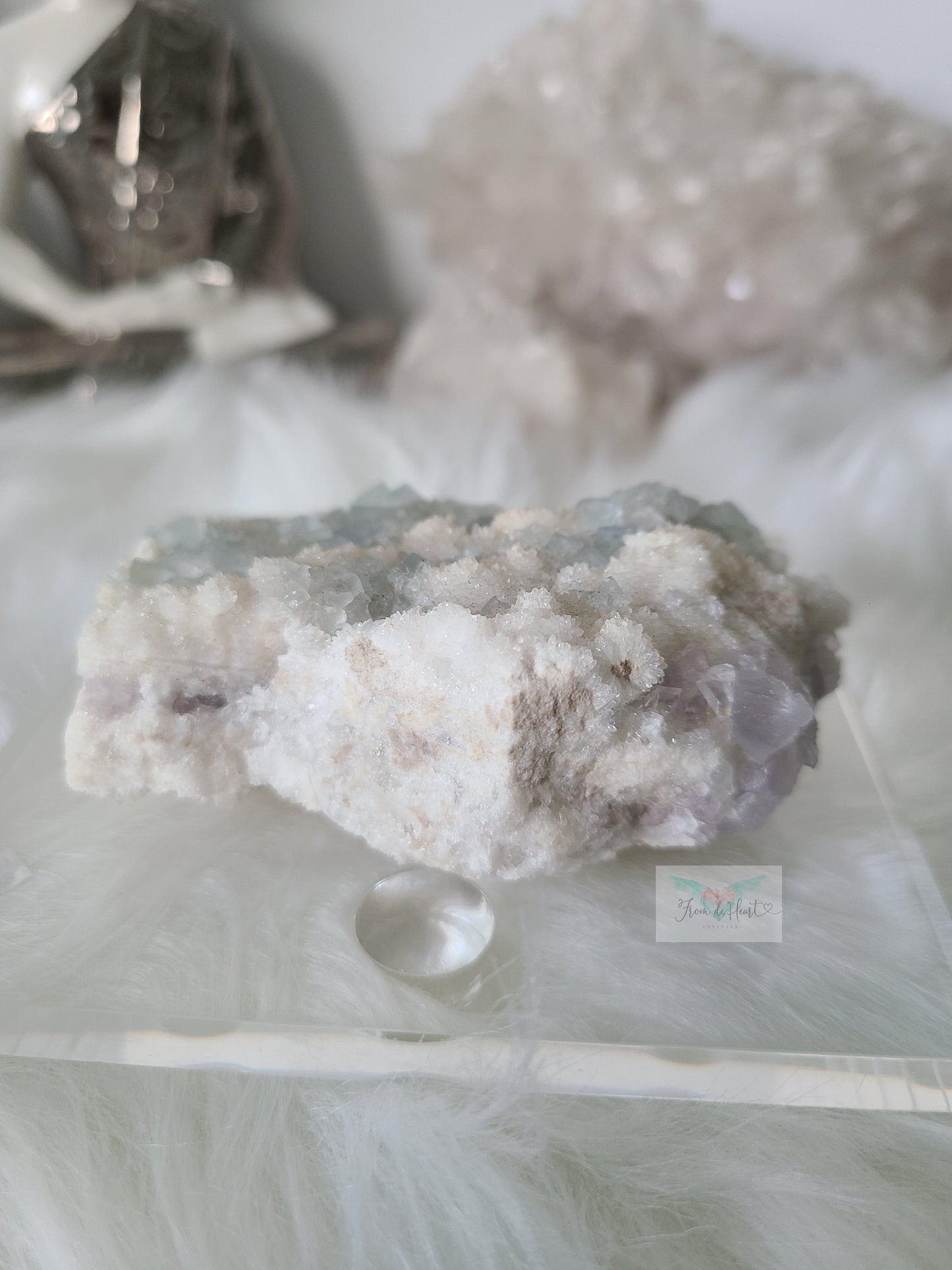 Rare Baby Blue and Purple Fluorite on White Quartz Matrix