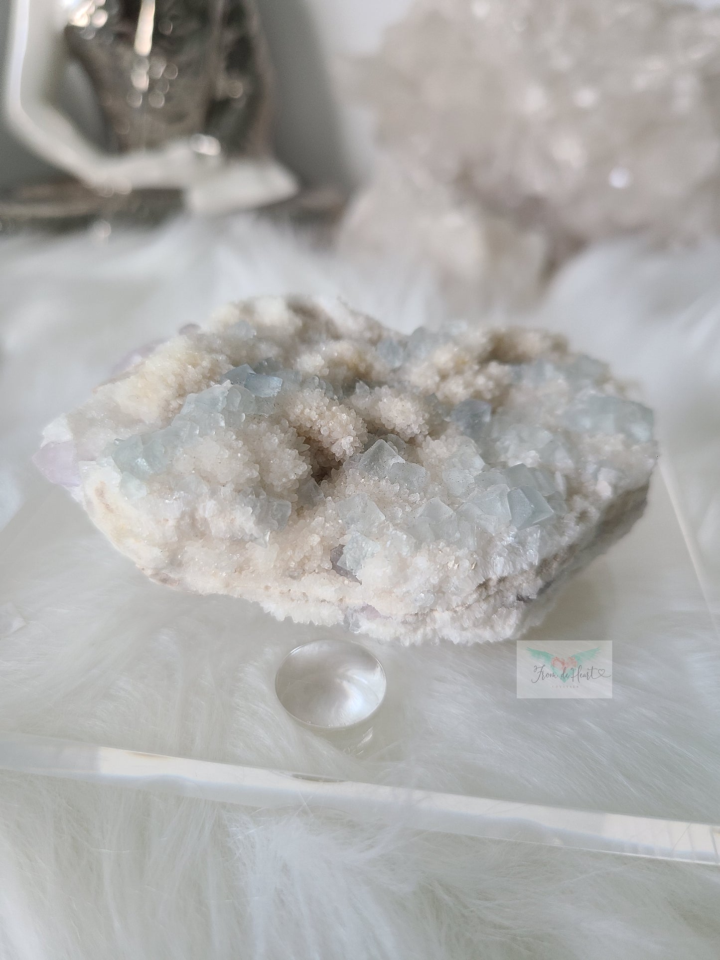 Rare Baby Blue and Purple Fluorite on White Quartz Matrix