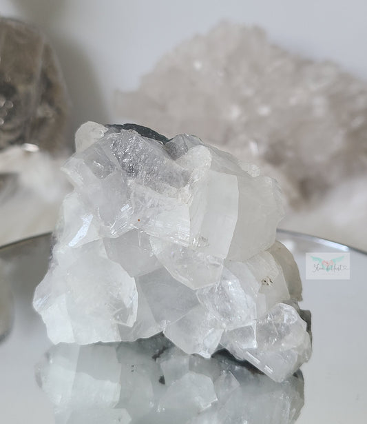 Apophyllite Cluster Self Standing