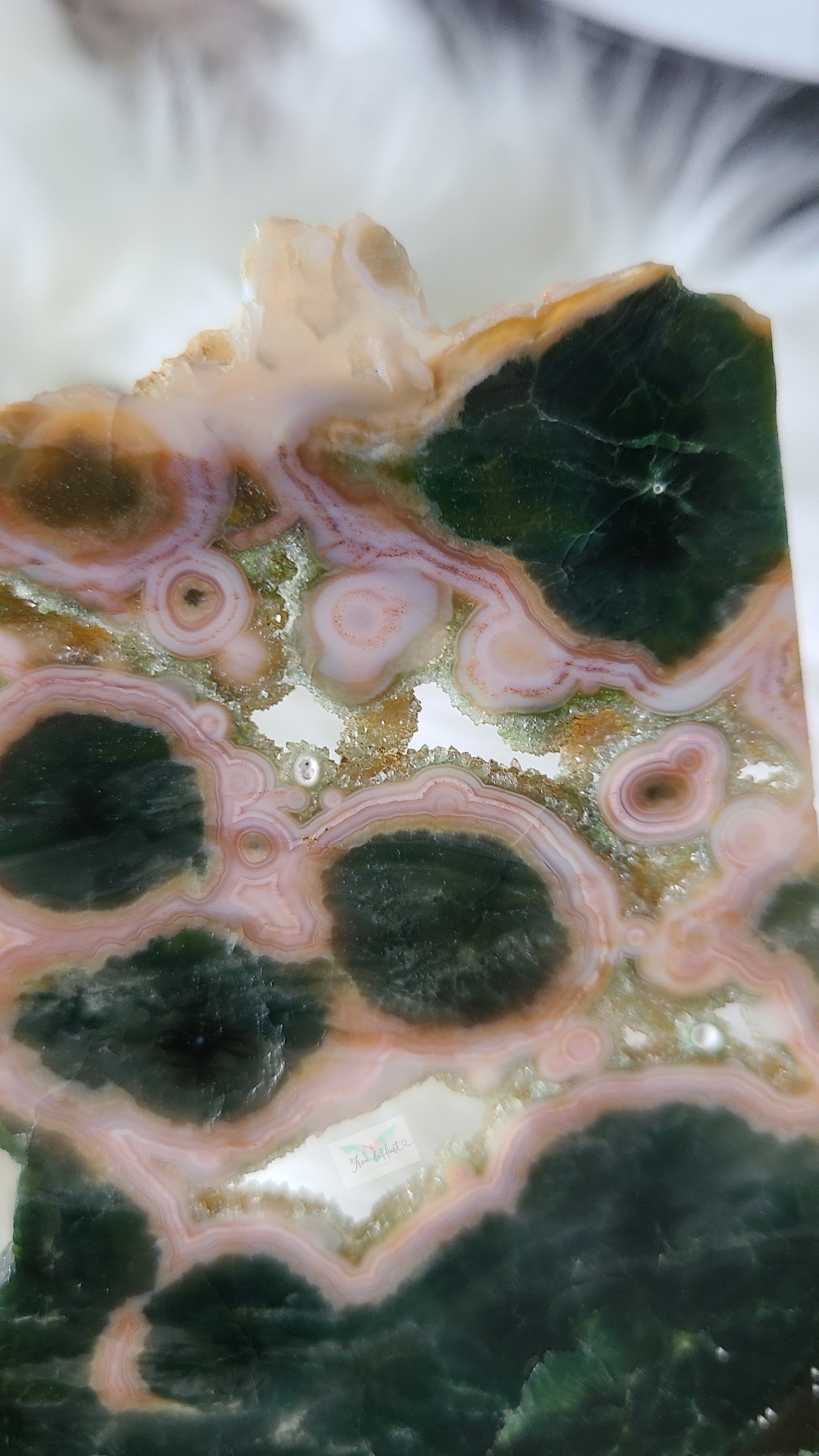 Rare Druzy Old Stock Ocean Jasper Slice