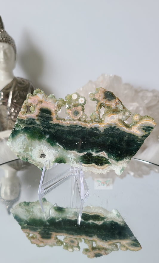 Rare Old Stock Druzy Ocean Jasper Slice