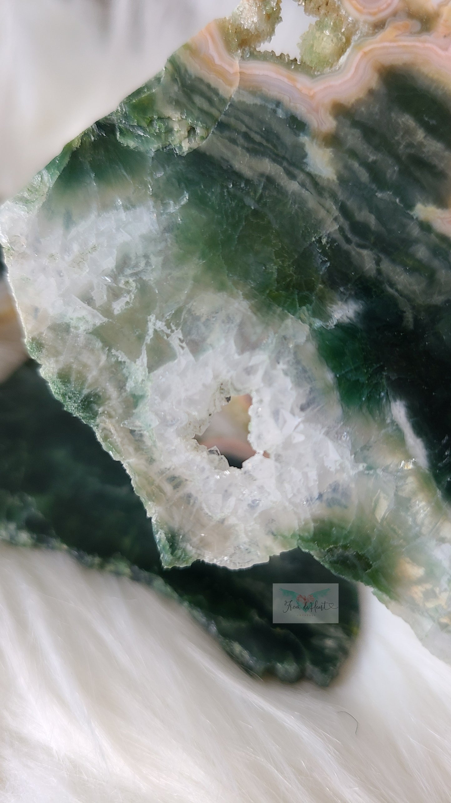Rare Old Stock Druzy Ocean Jasper Slice