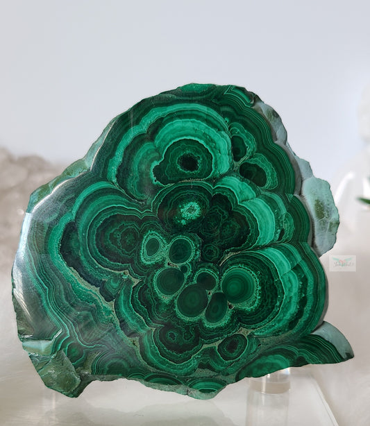 Botryoidal Malachite Slab (B)