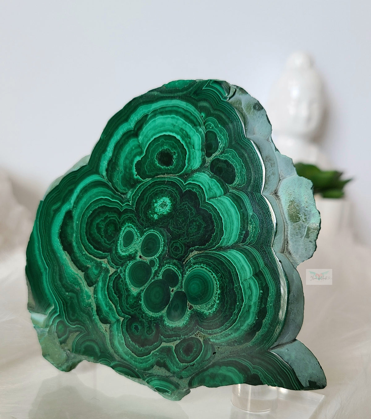 Botryoidal Malachite Slab (B)