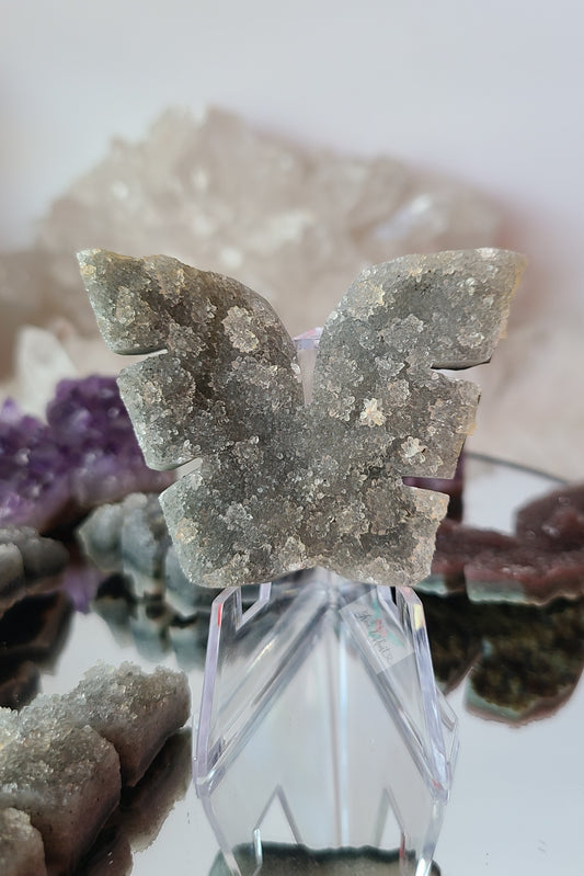 Black Amethyst Cluster Wings (C)